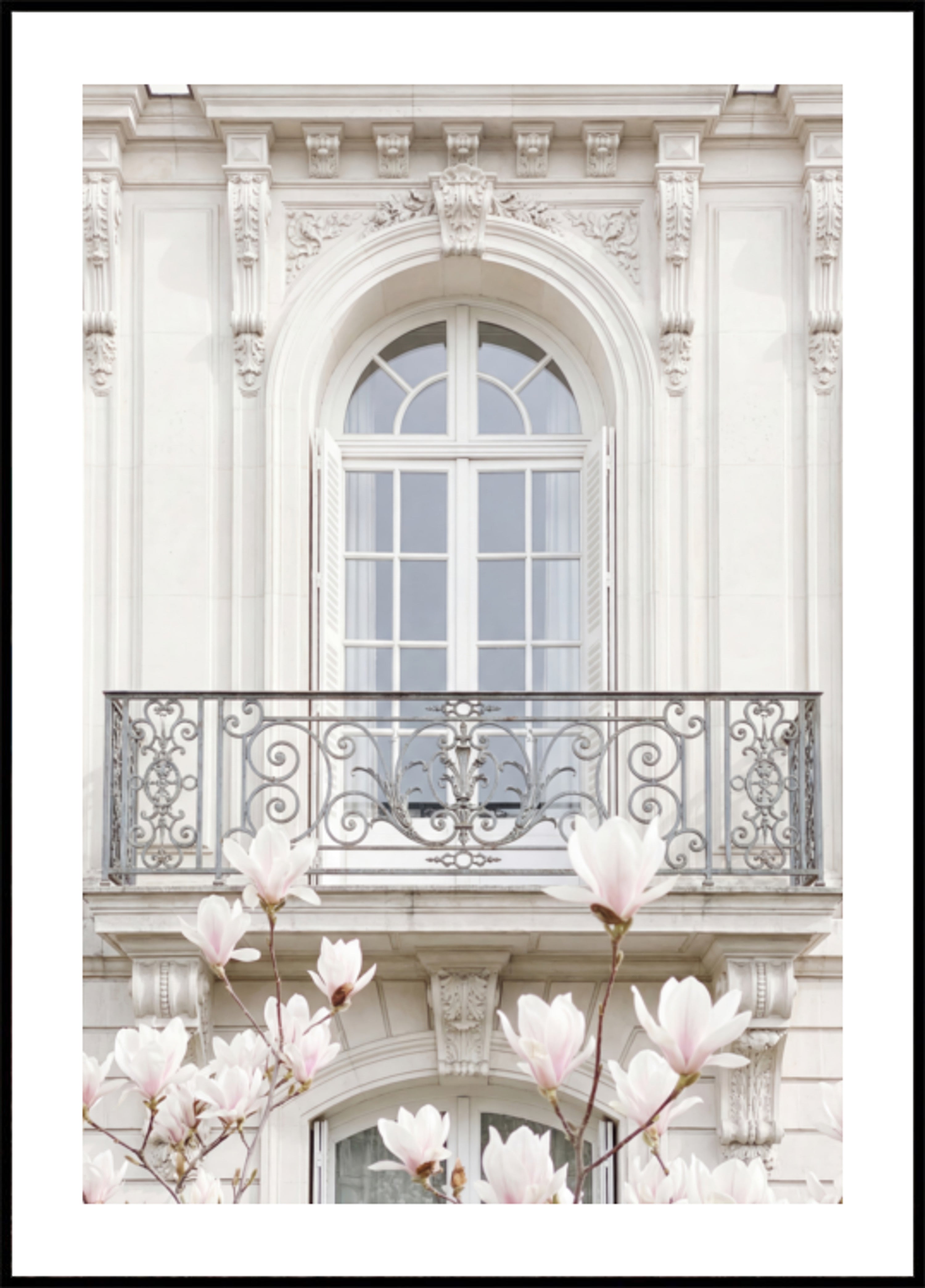 Magnolias de façade blancs