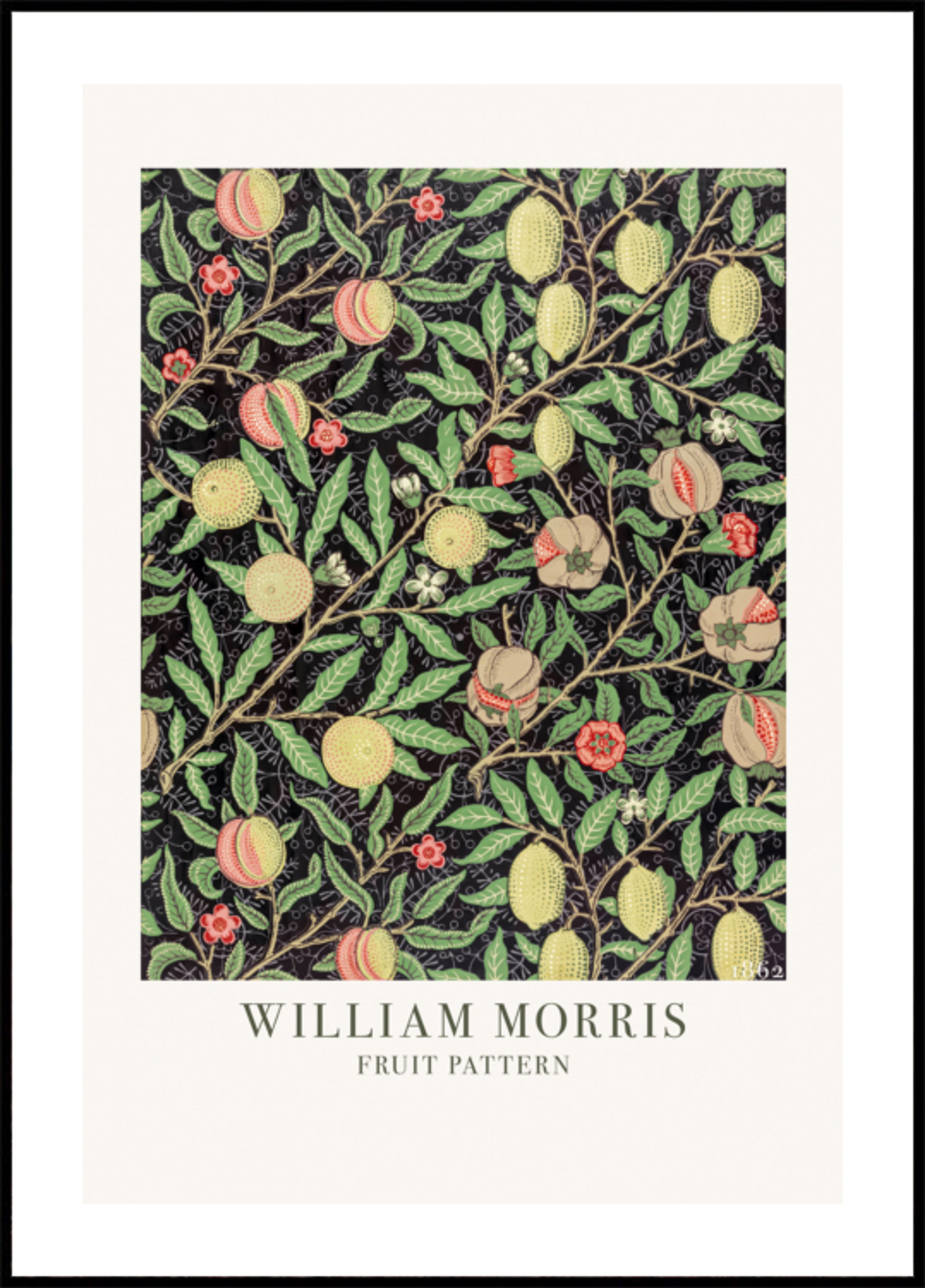 Modèle de fruits