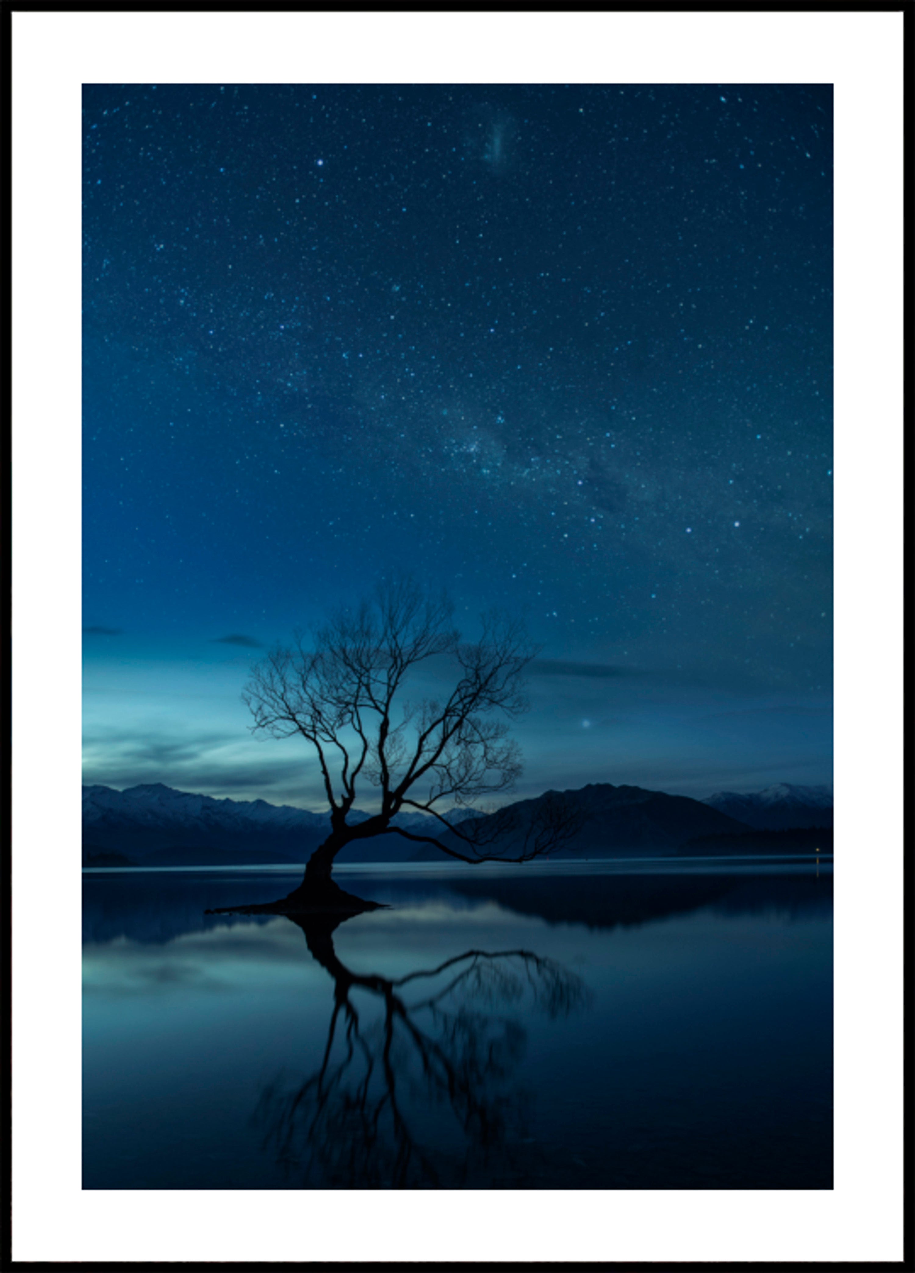 Nuit étoilée d'arbre solitaire