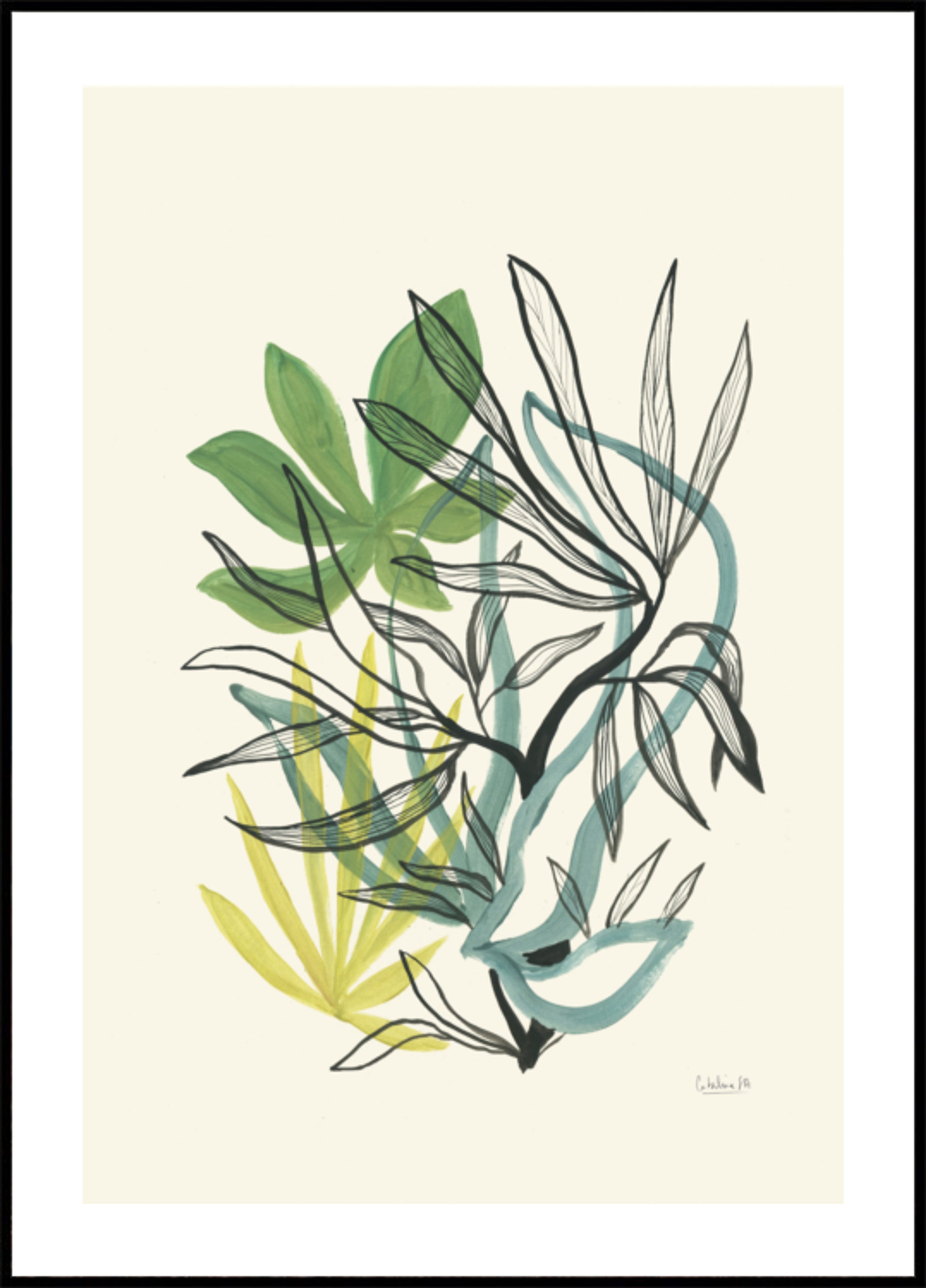 Verts botaniques fluides