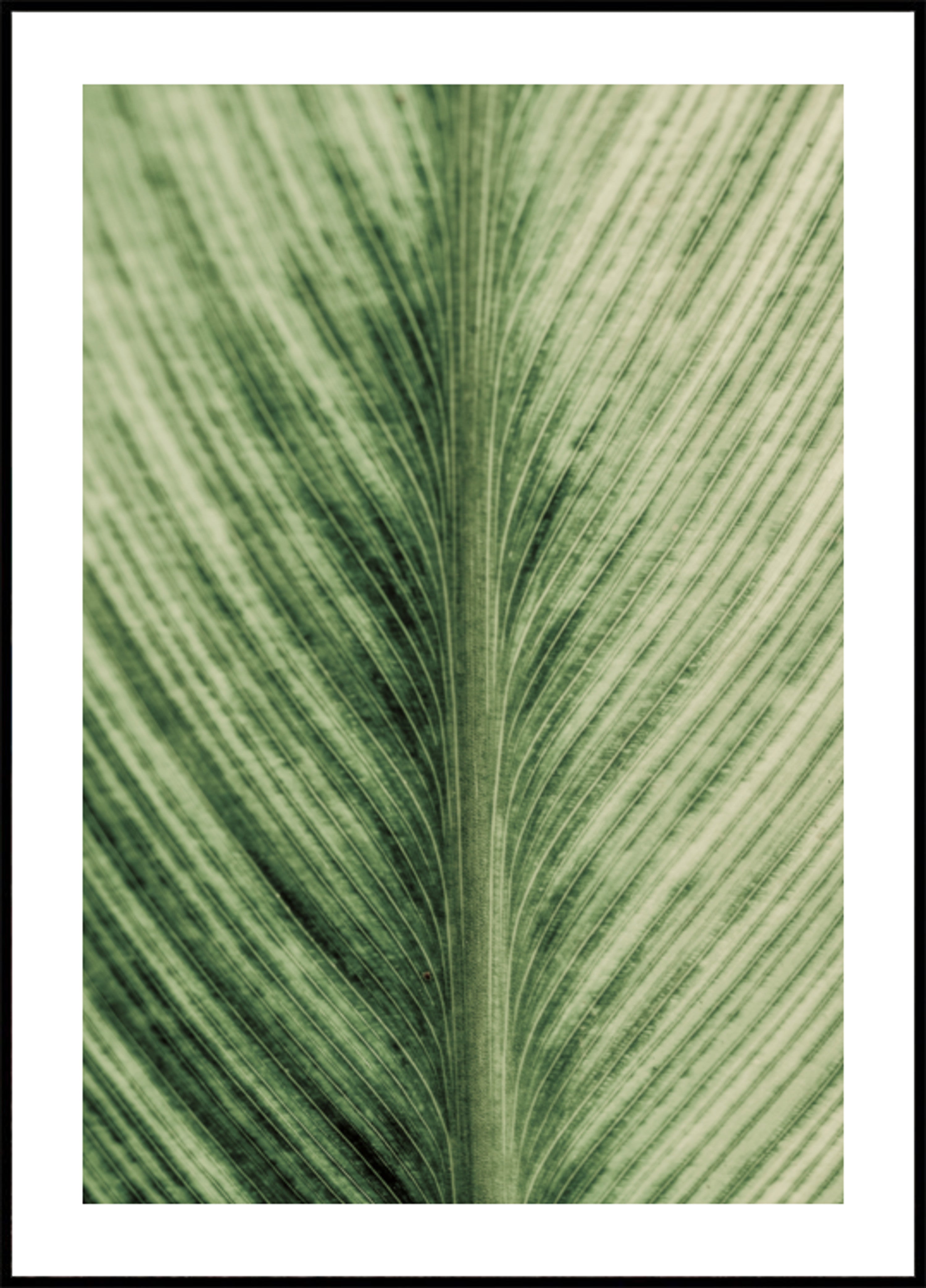 Veines verdoyantes