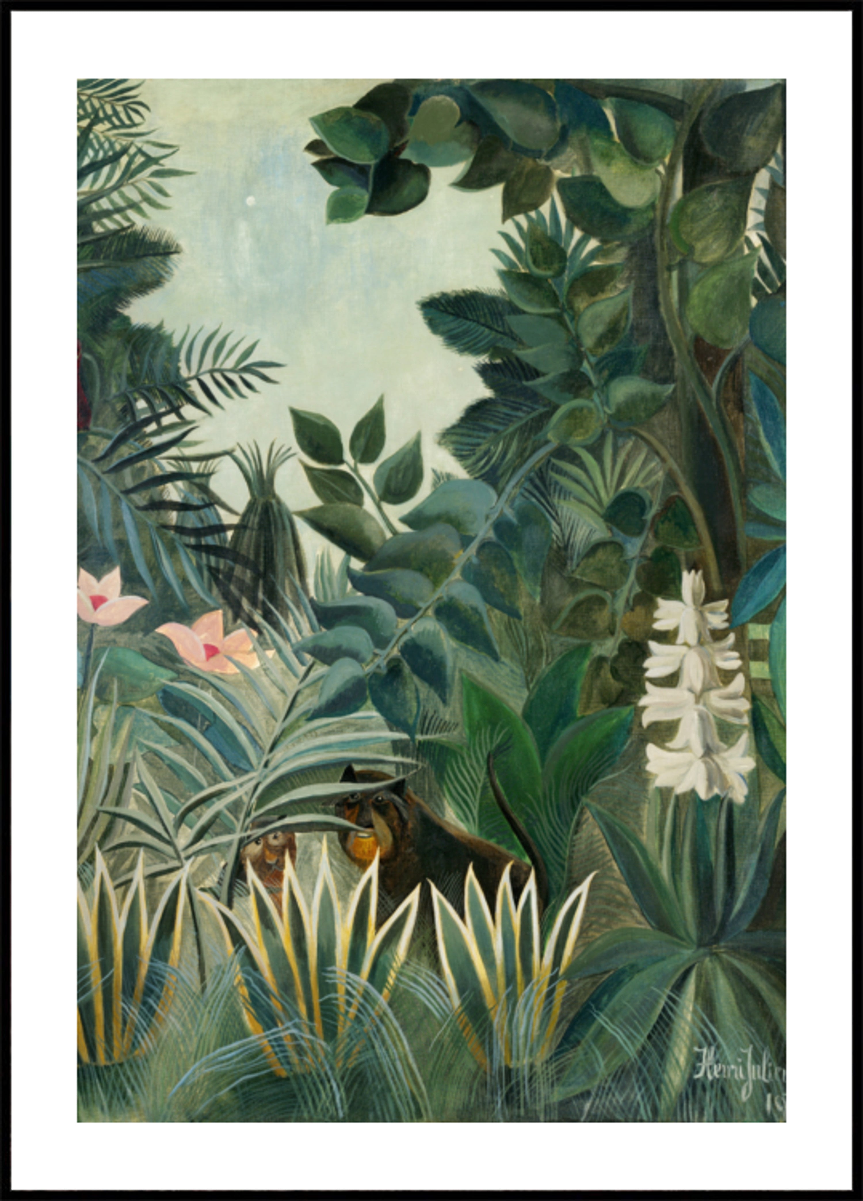 La jungle équatoriale