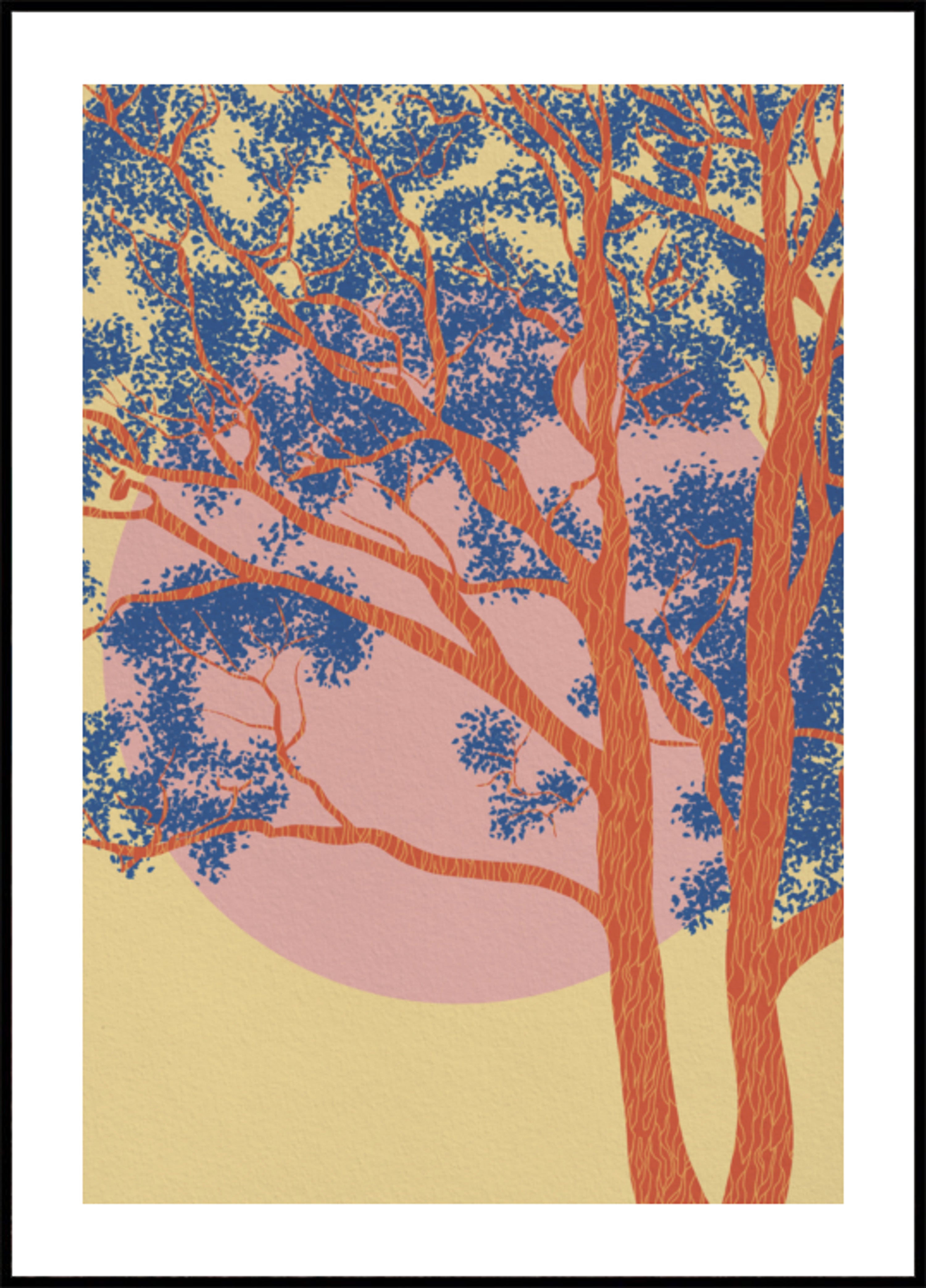 Coucher de soleil sur la forêt colorée