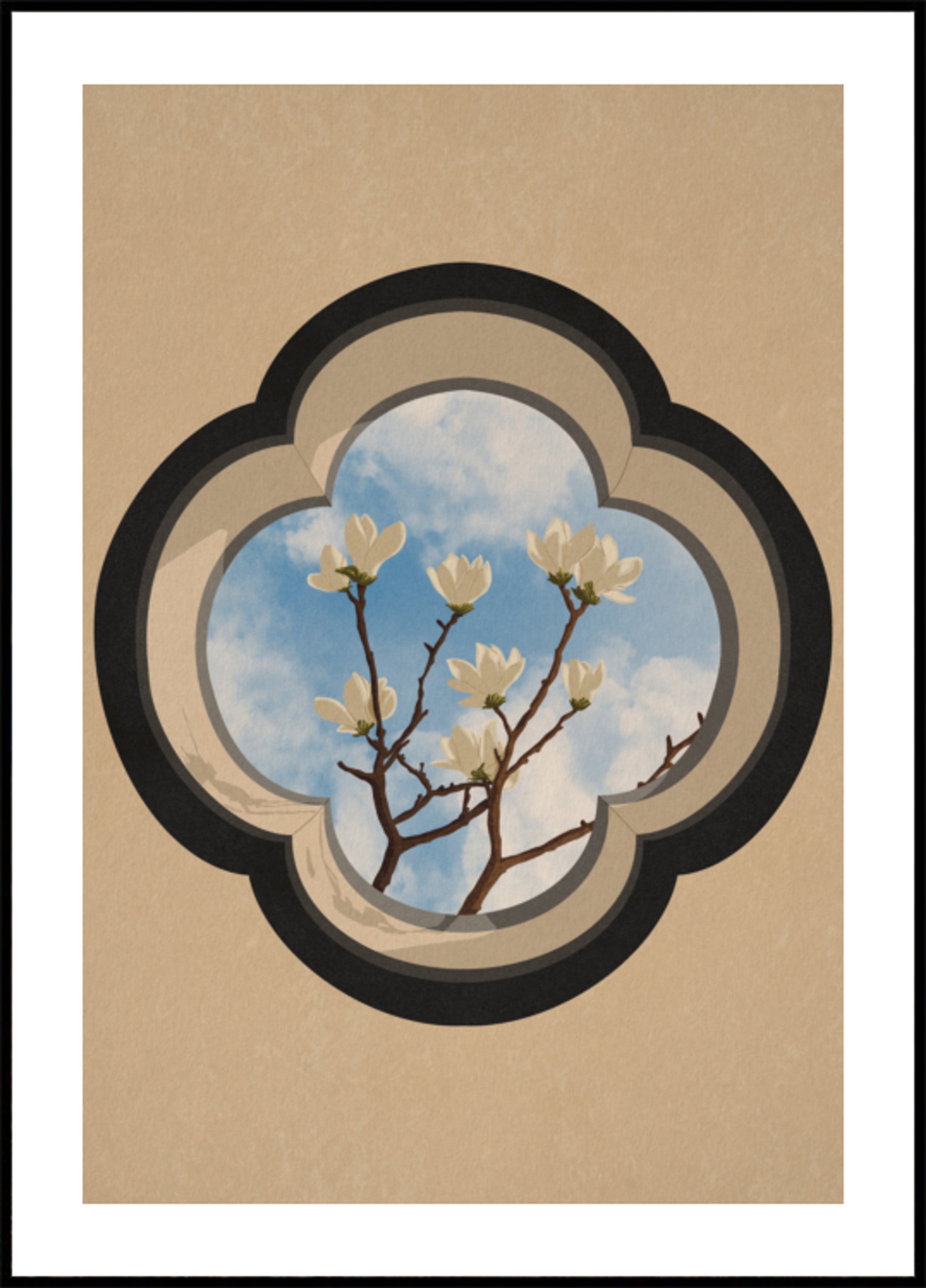 Fenêtre Ciel Magnolia