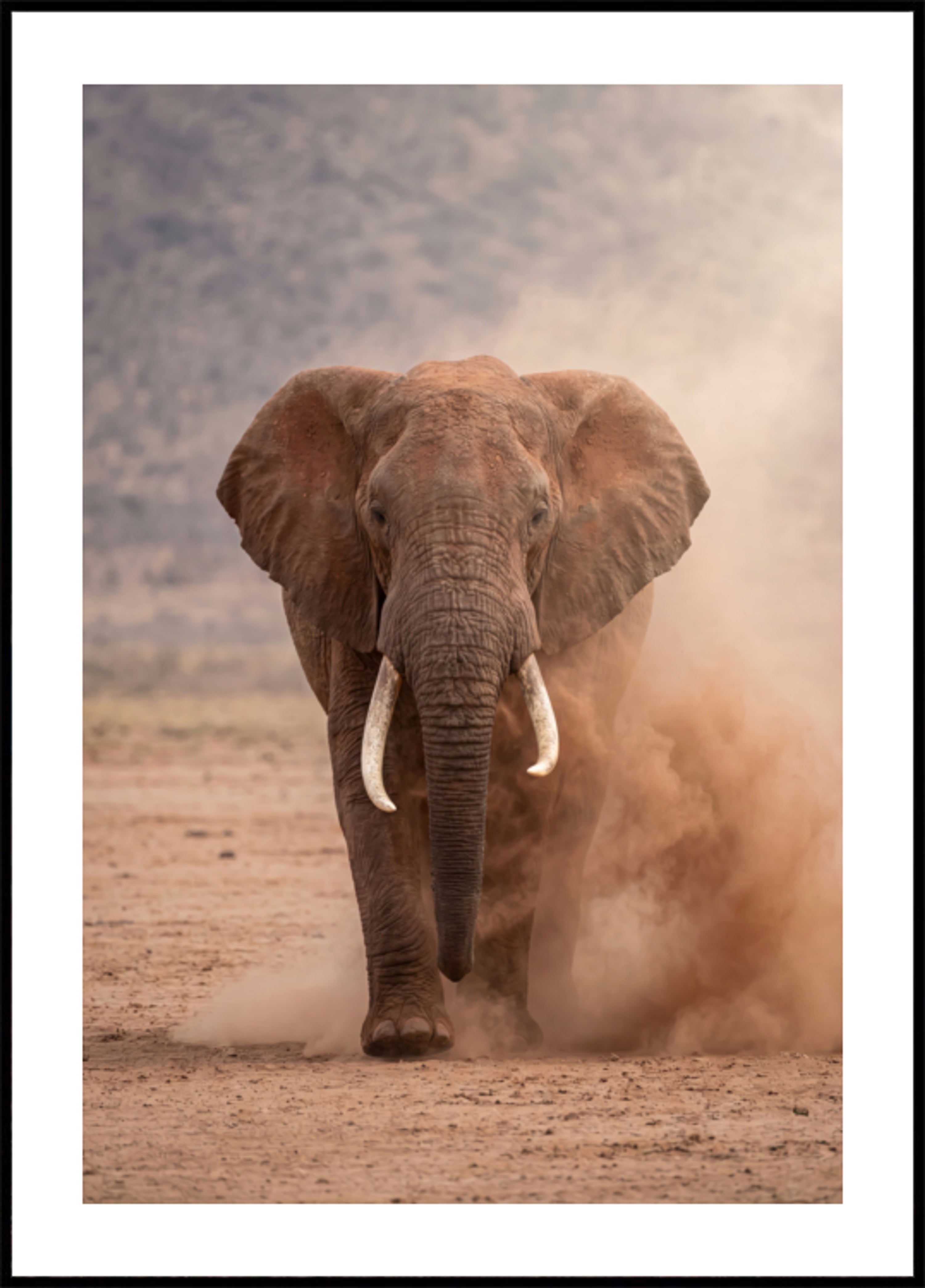 Puissant éléphant poussiéreux