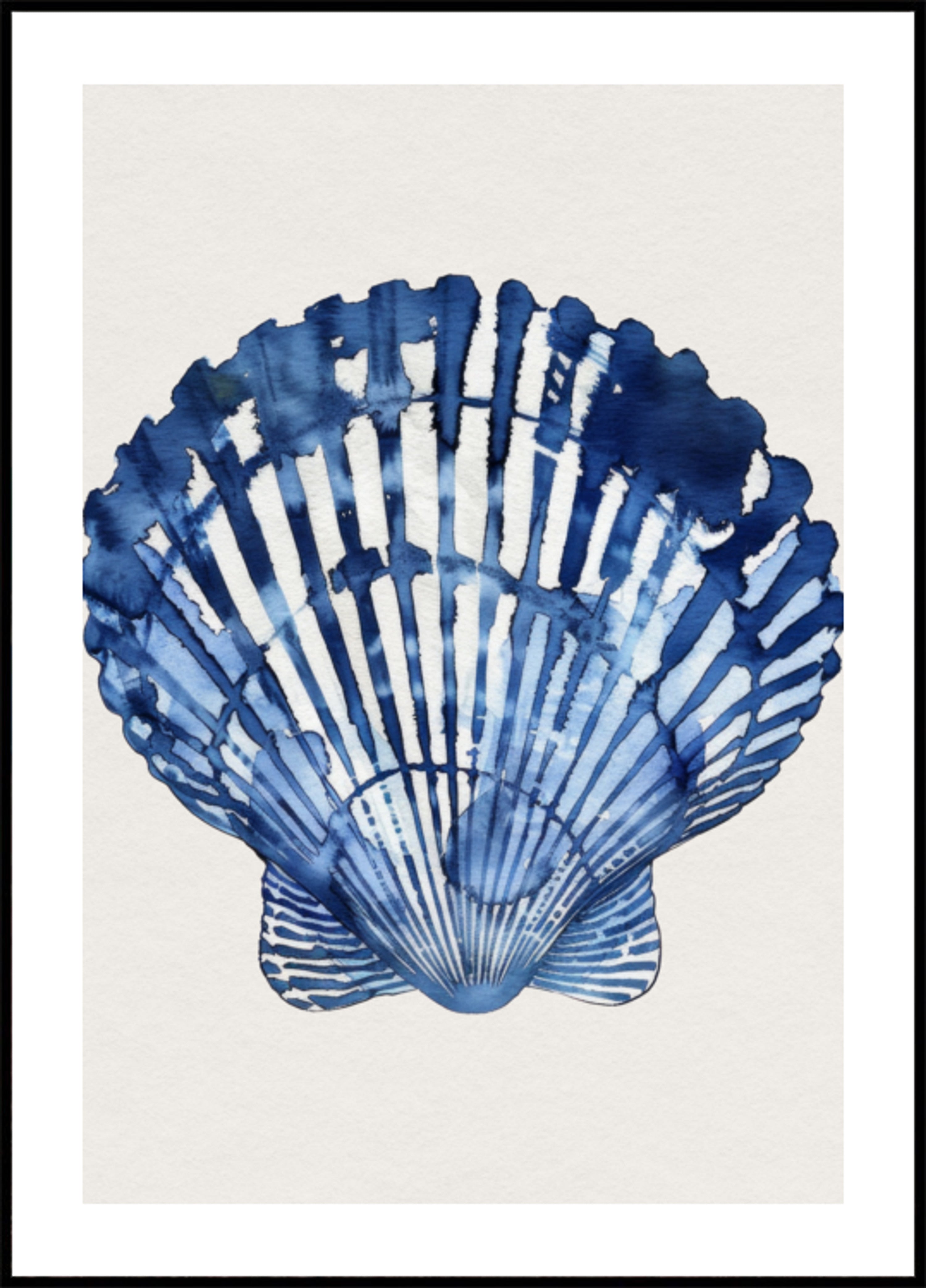 Coquillage indigo