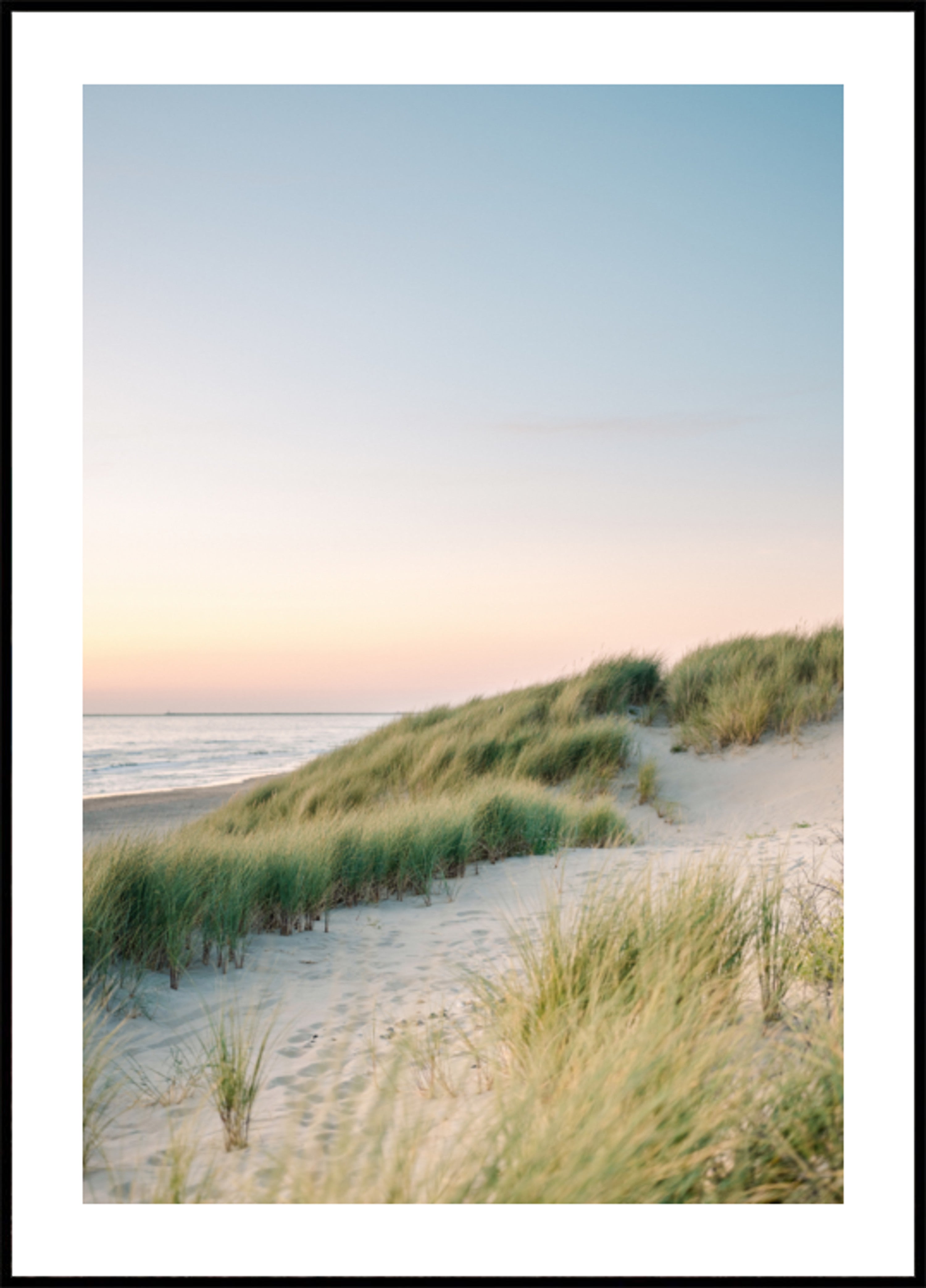 Dunes hollandaises