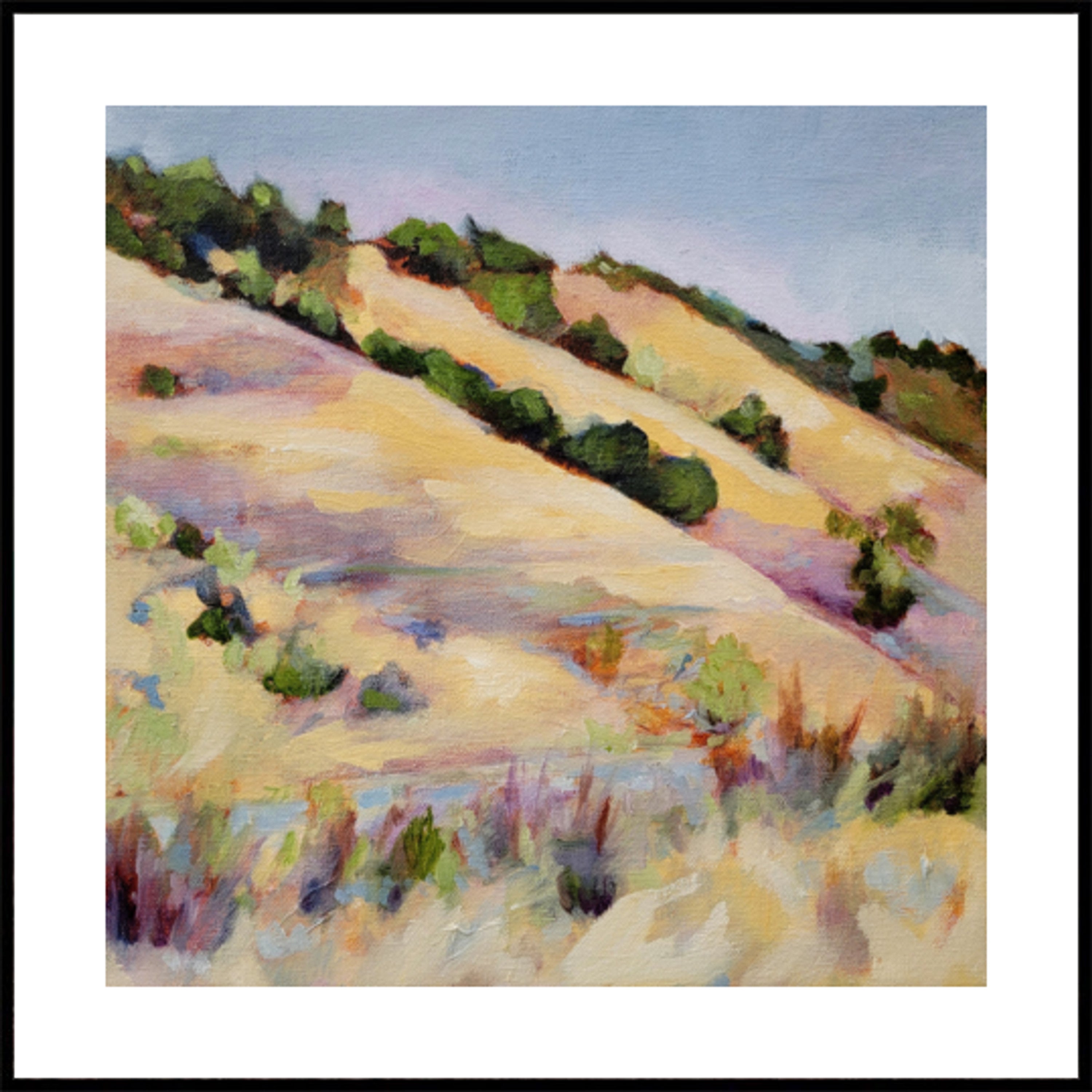 Collines d'été dorées