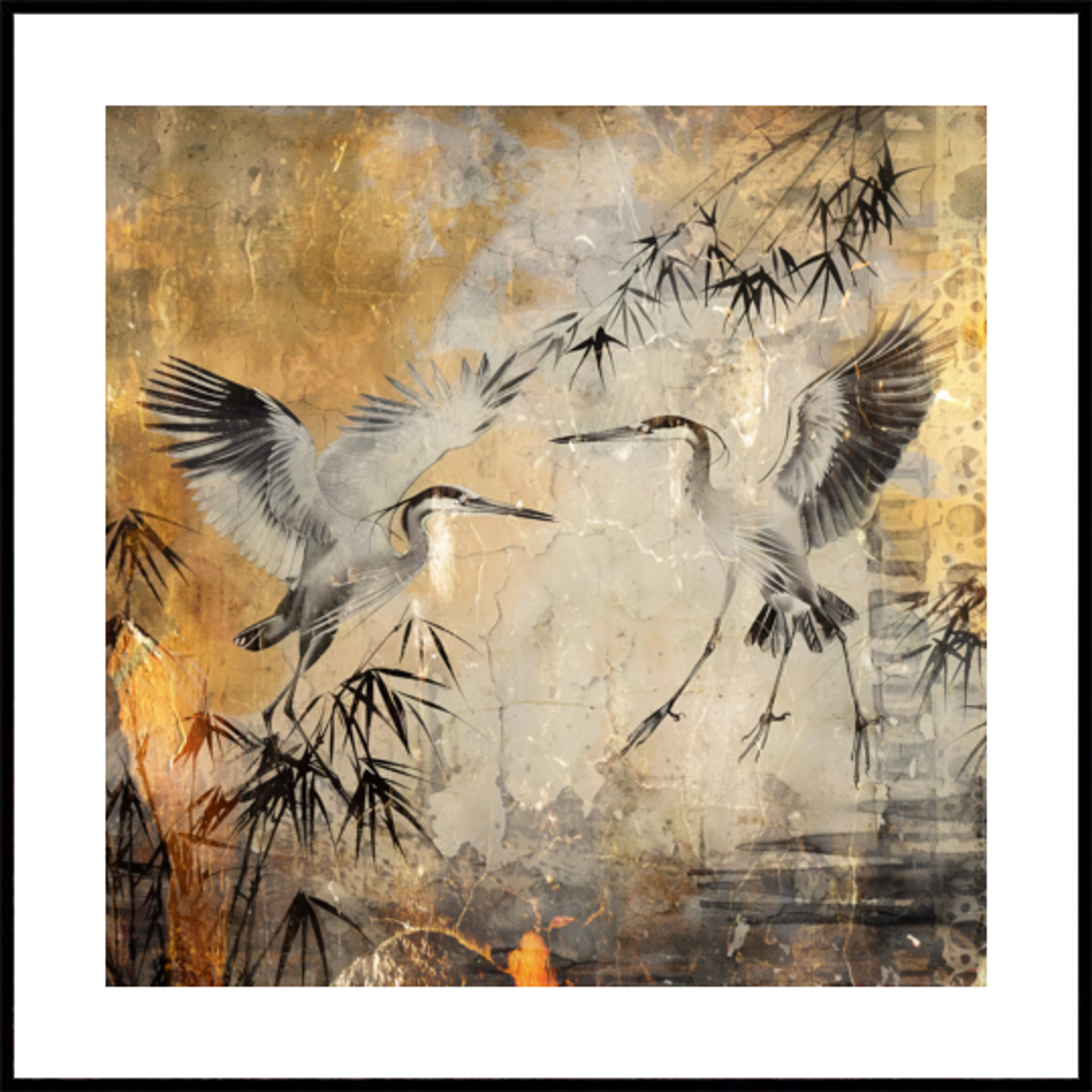 Oiseau Oiseaux Animal Vintage Art Illustration Wallart 25