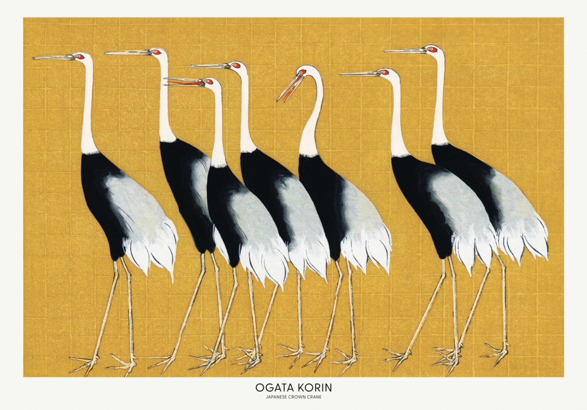 Grue à couronne rouge du Japon