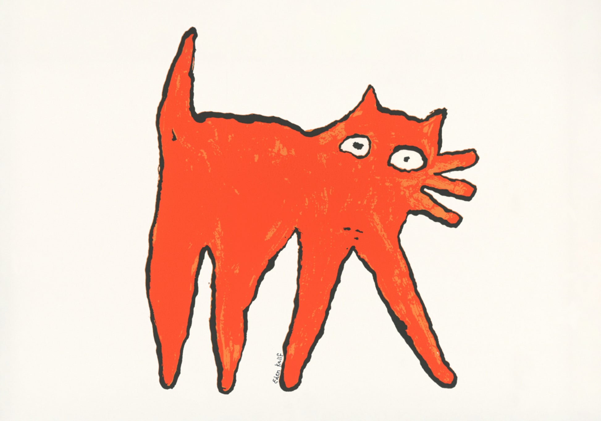 Chat orange