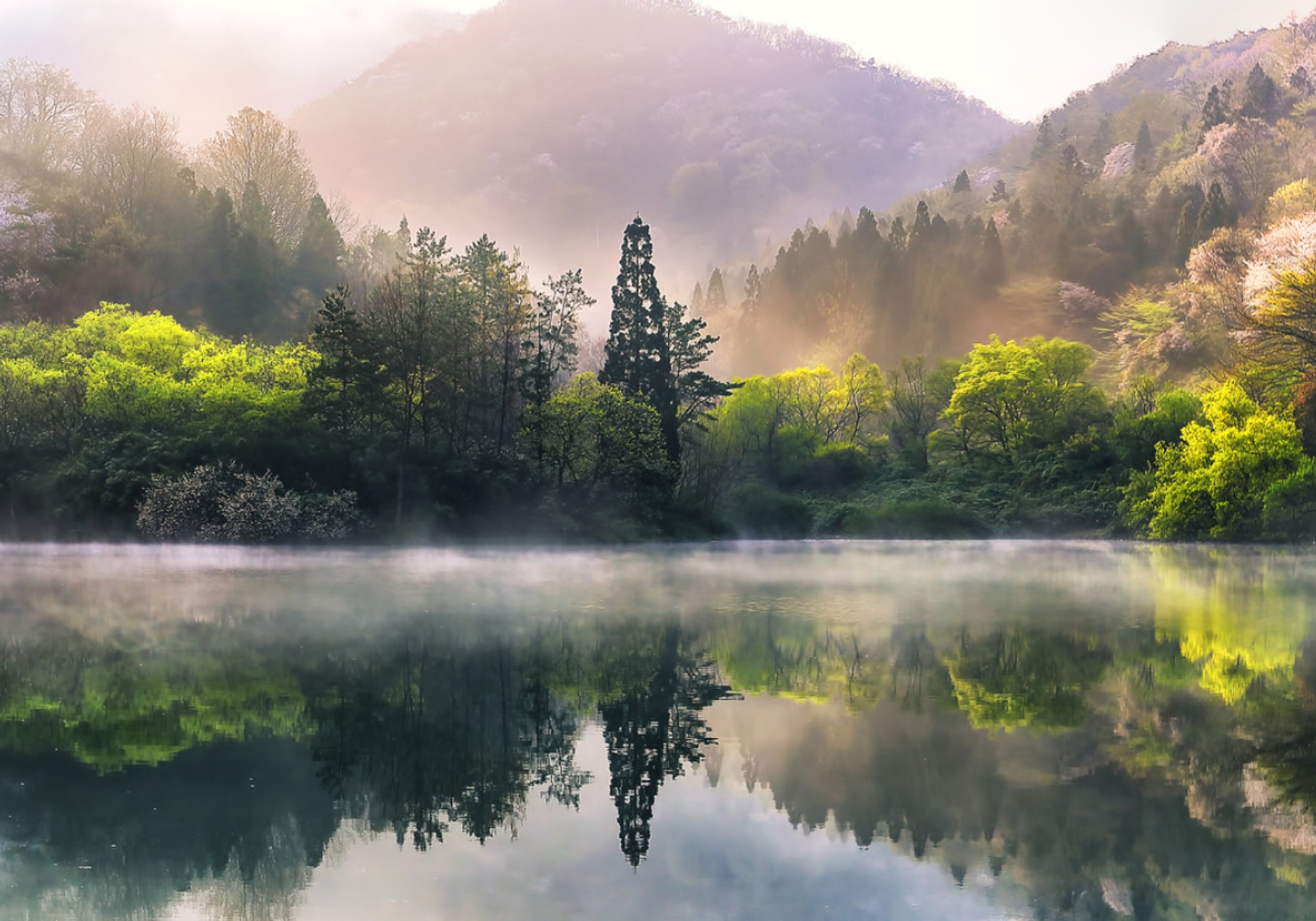 Réflexion du lac Misty Spring