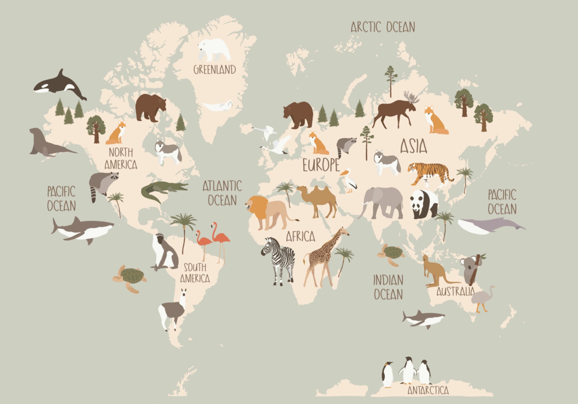 Carte du monde de la faune