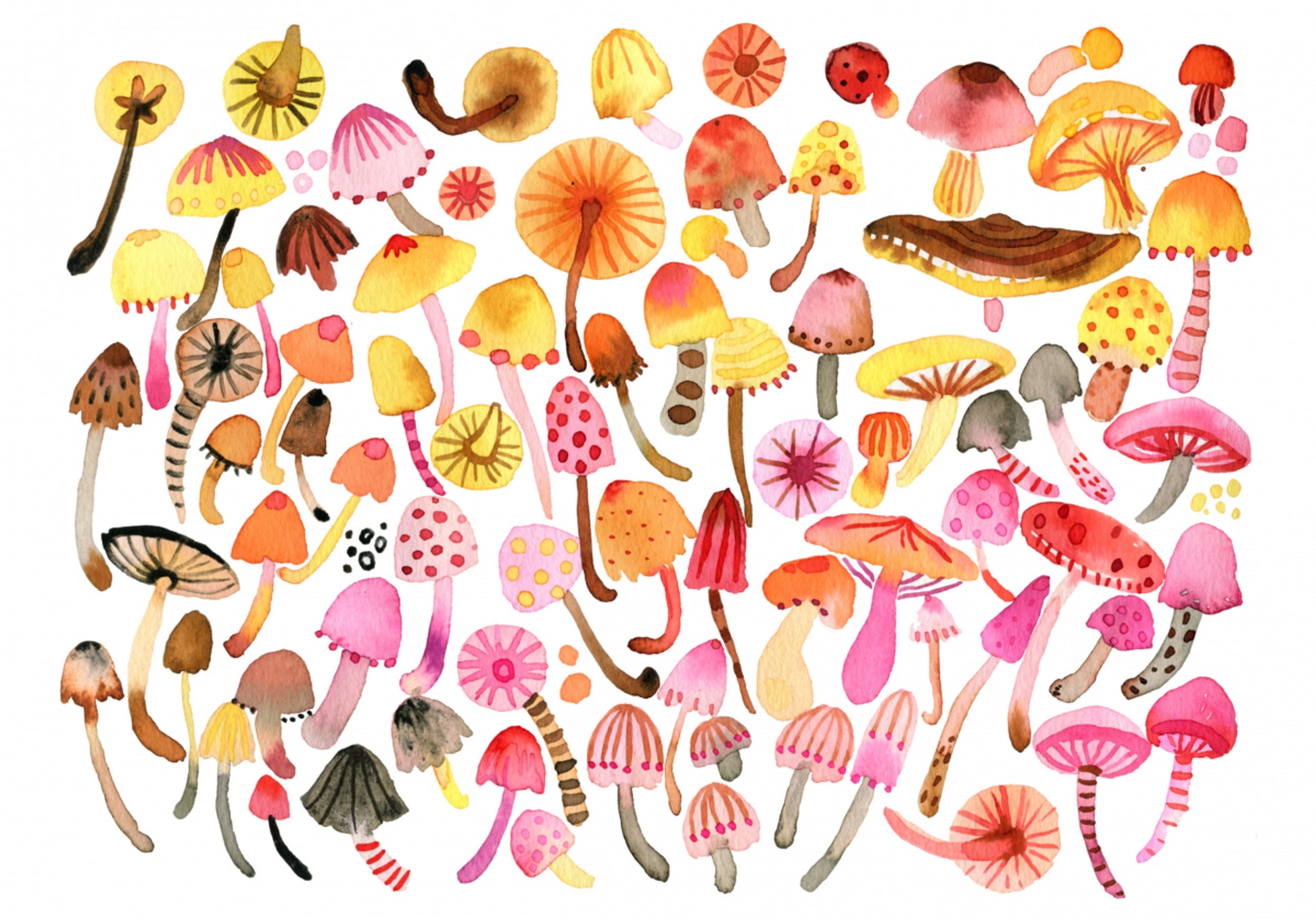 Collection de champignons fantaisistes