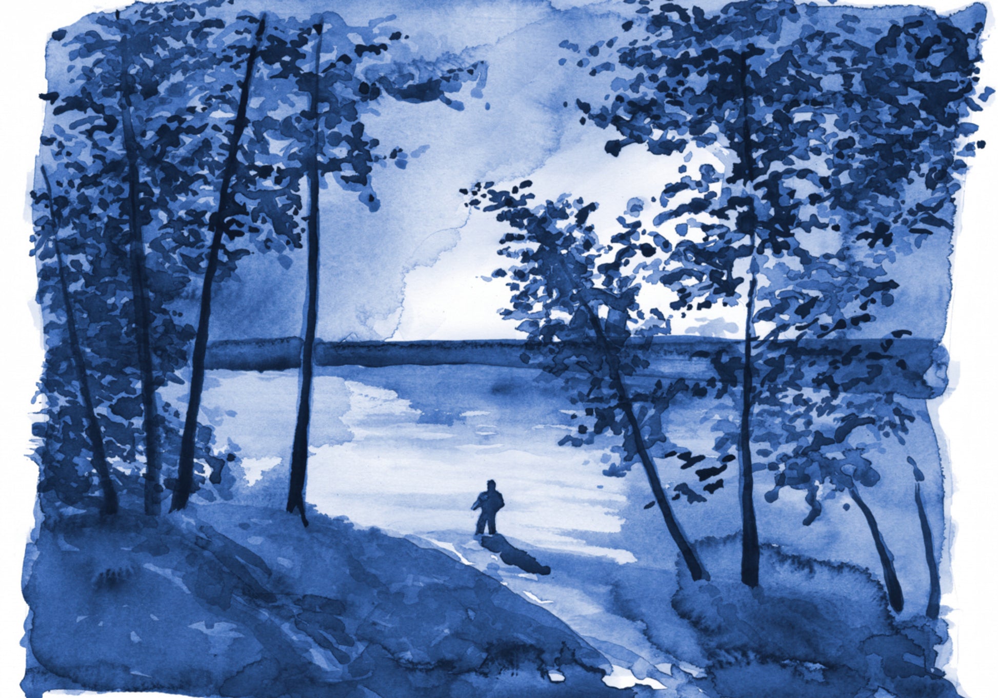 Solitude du lac de la Forêt Bleue