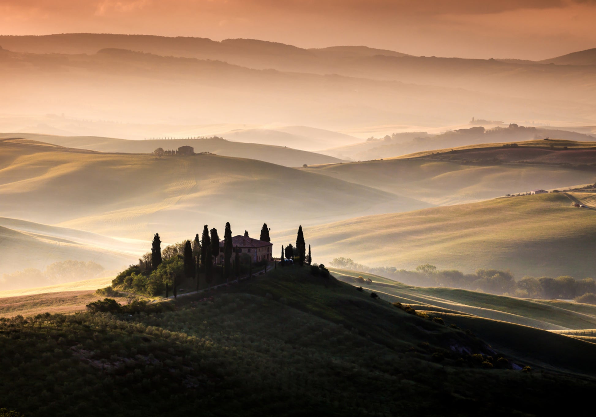 Collines toscanes brumeuses