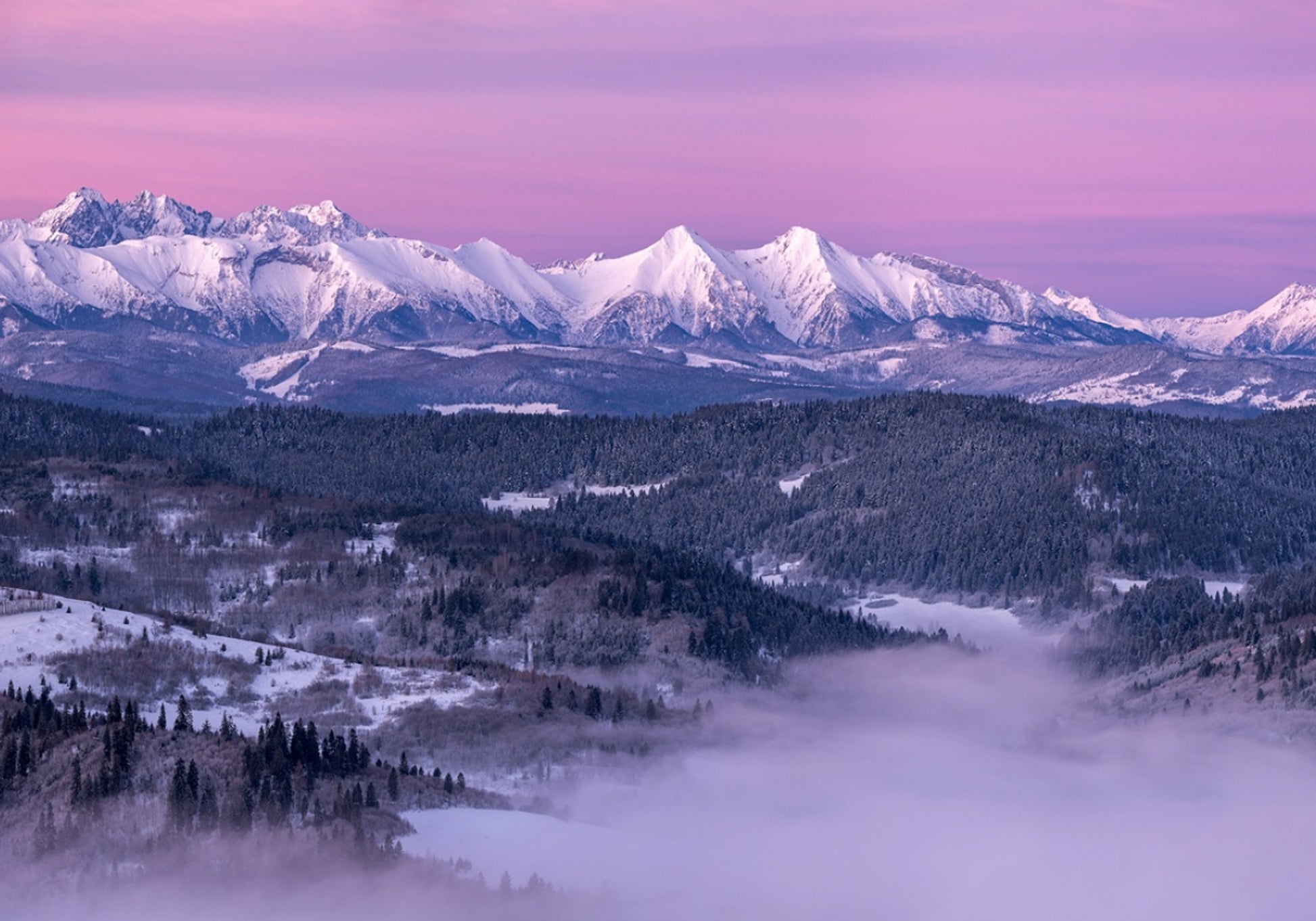 Aube de la montagne pourpre