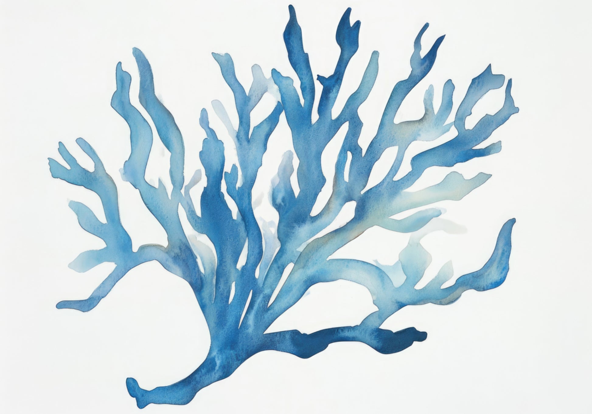 Corail bleu