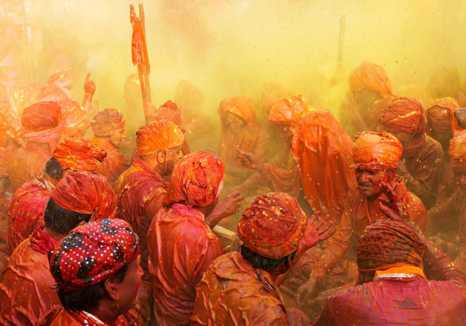 Célébration dynamique de Holi