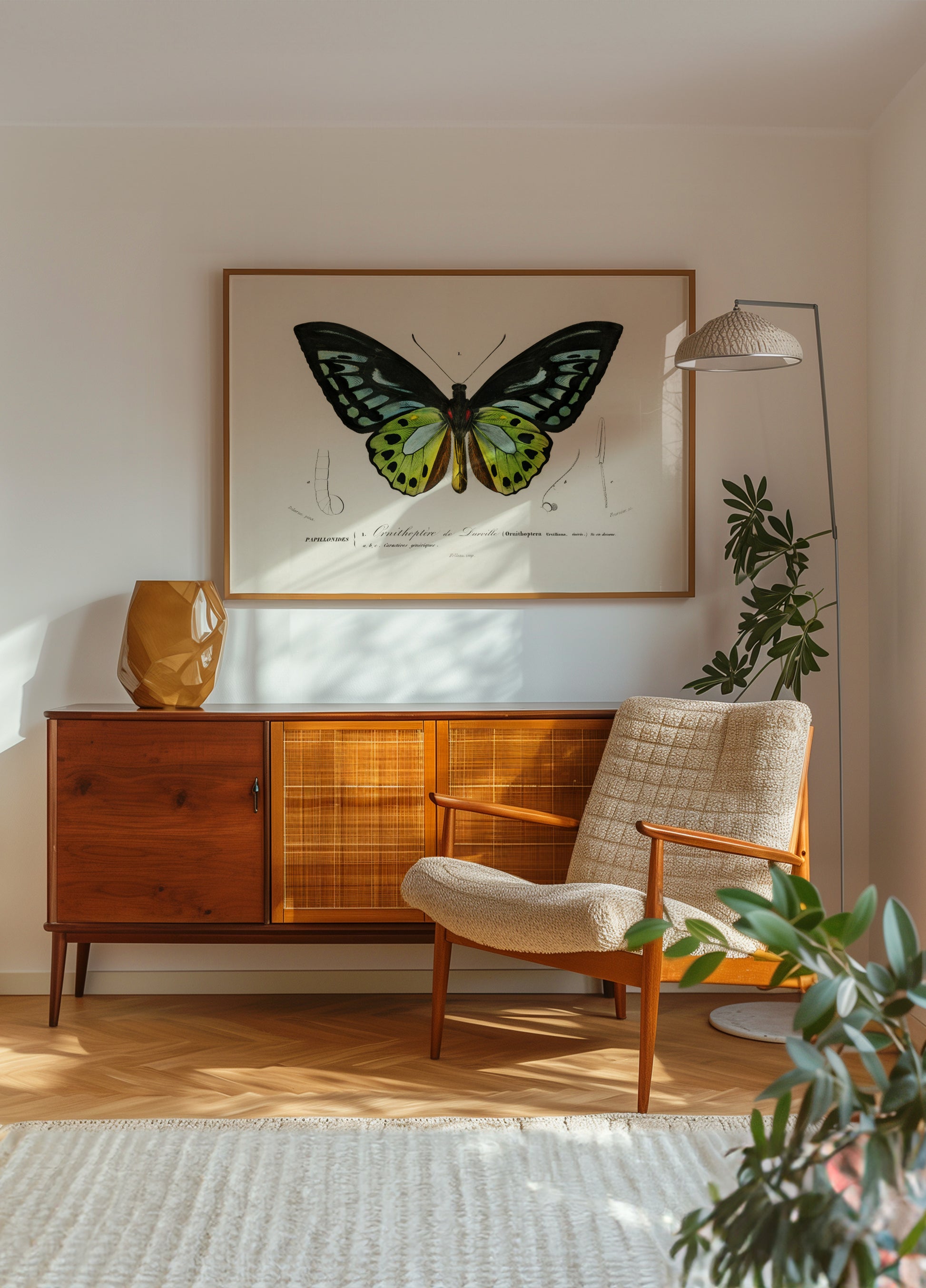 Papillon aile d'oiseau vert