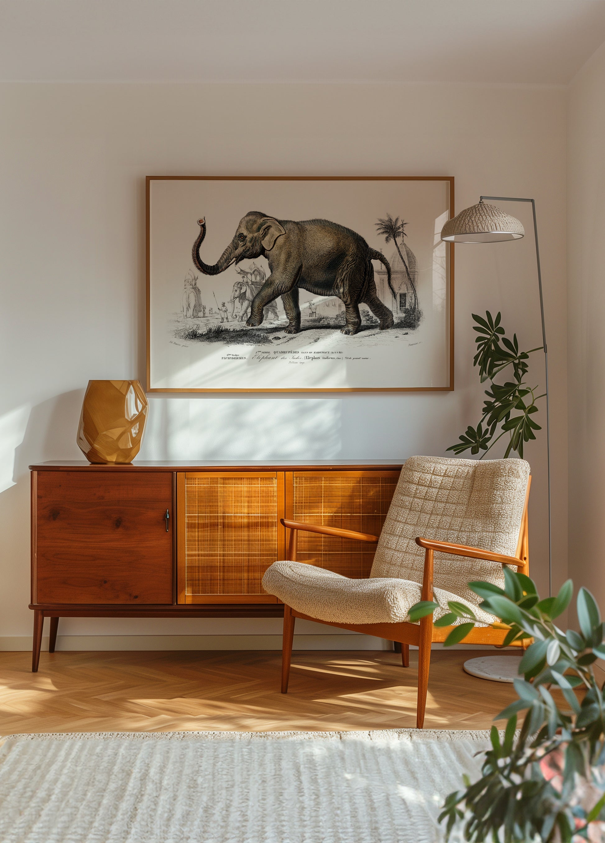 Éléphant d'Asie