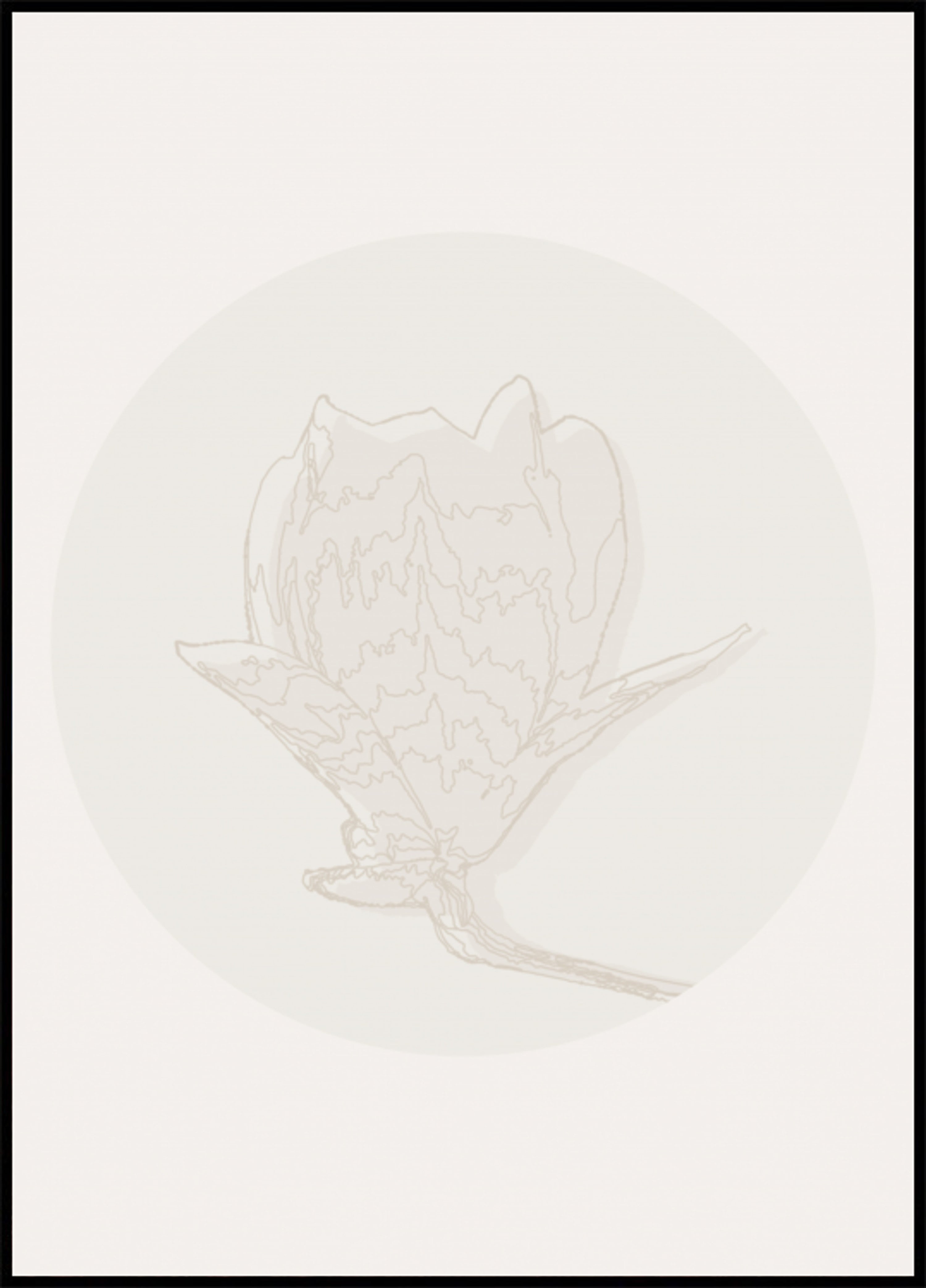 Contour floral délicat
