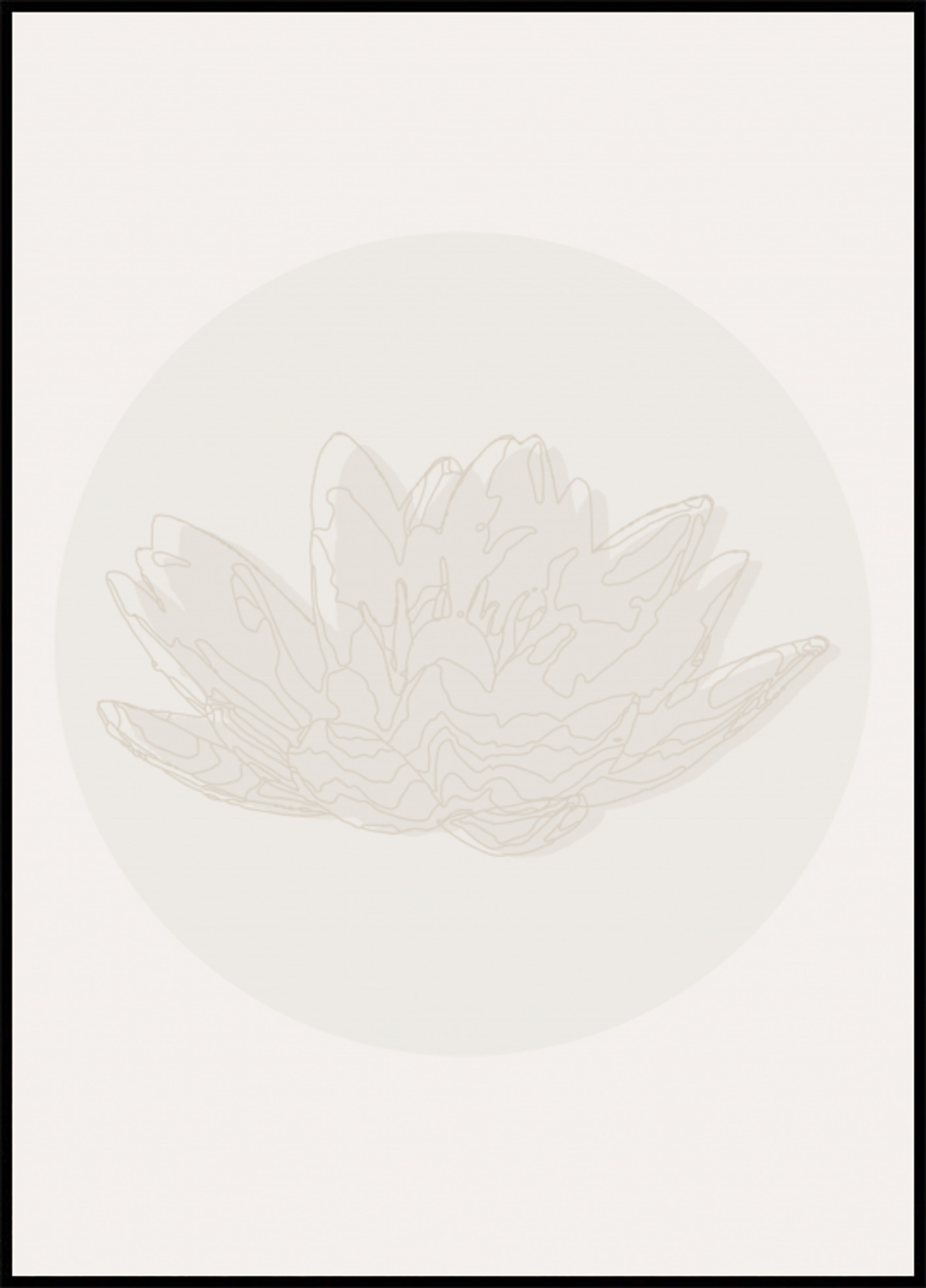 Fleur de lotus sereine