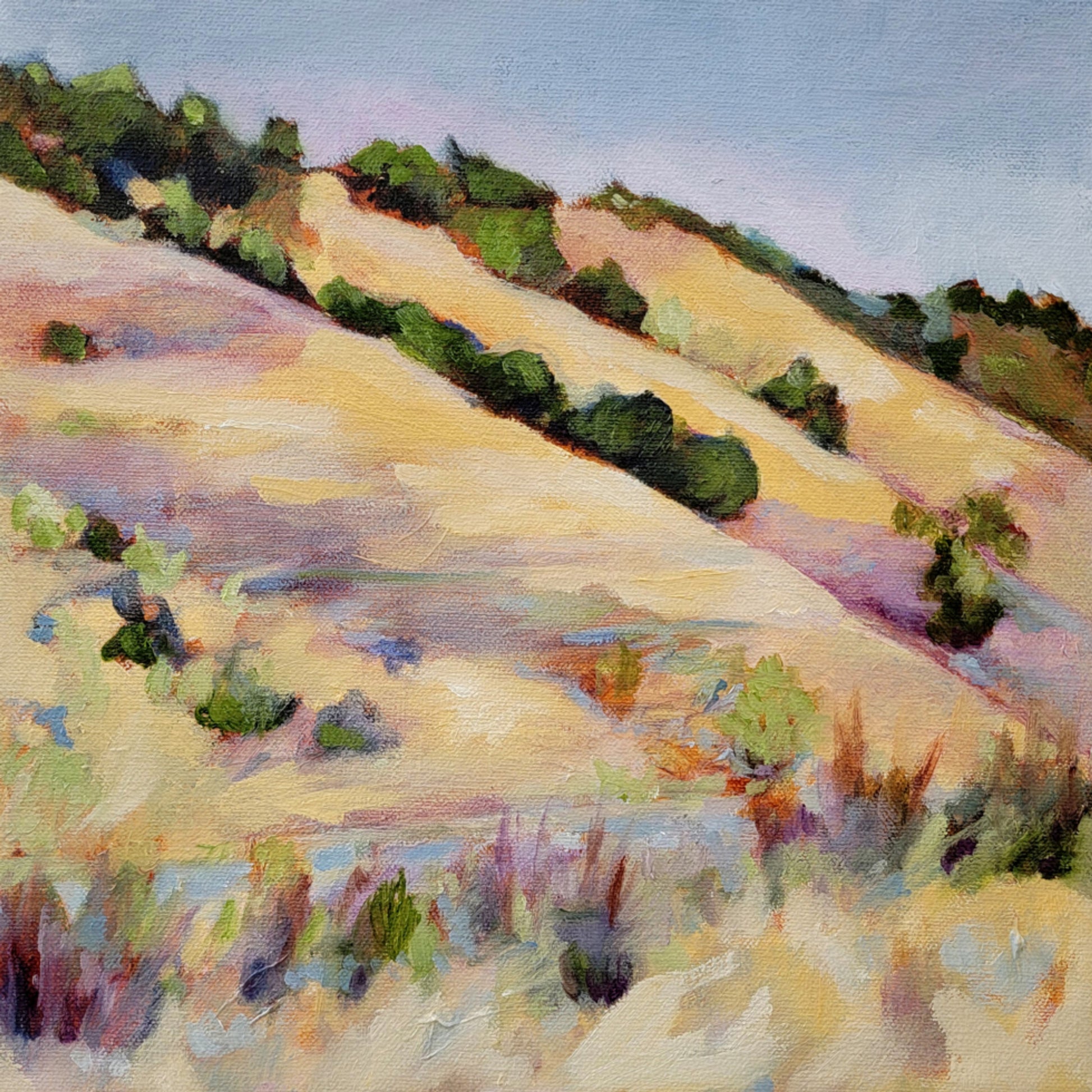 Collines d'été dorées