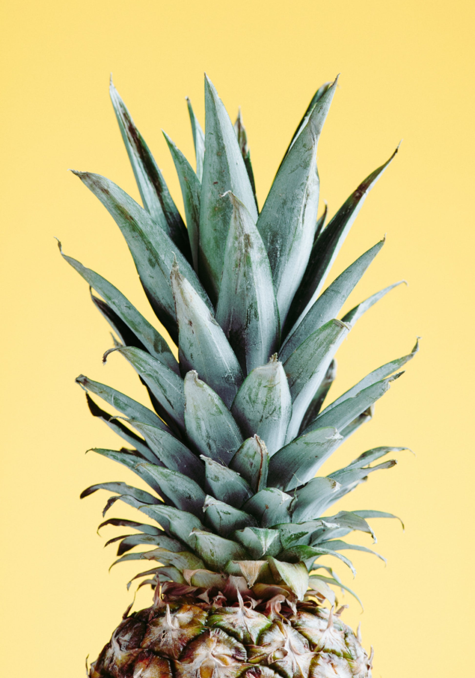 Ananas Tropical Jaune