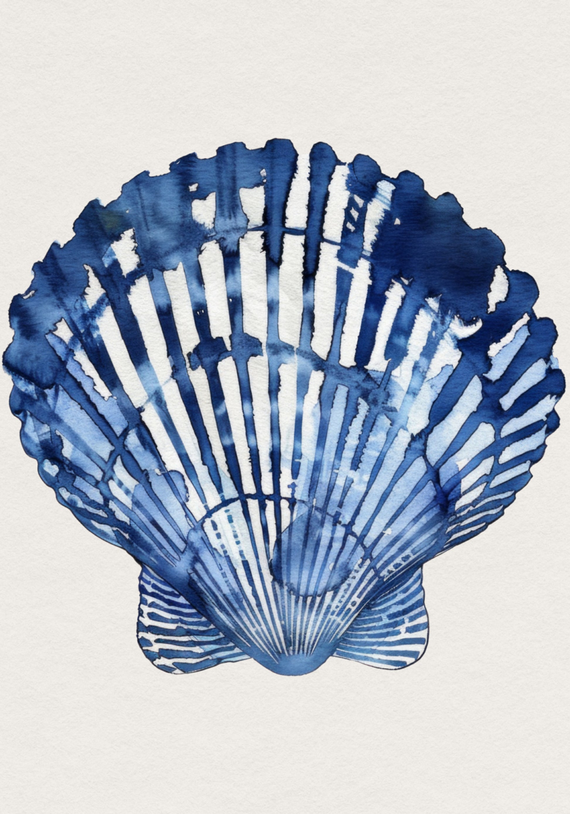 Coquillage indigo