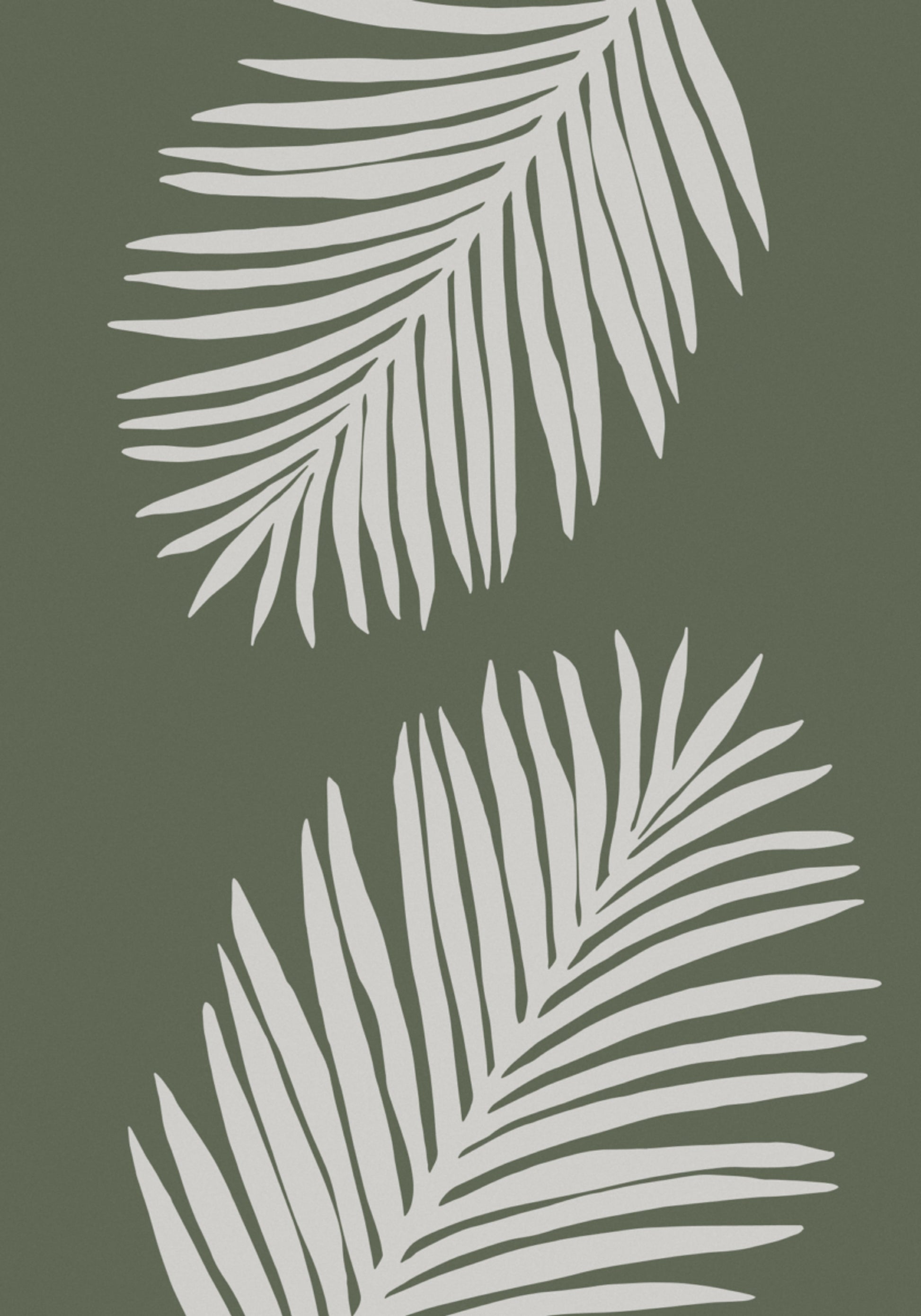 Feuilles de palmier sereines
