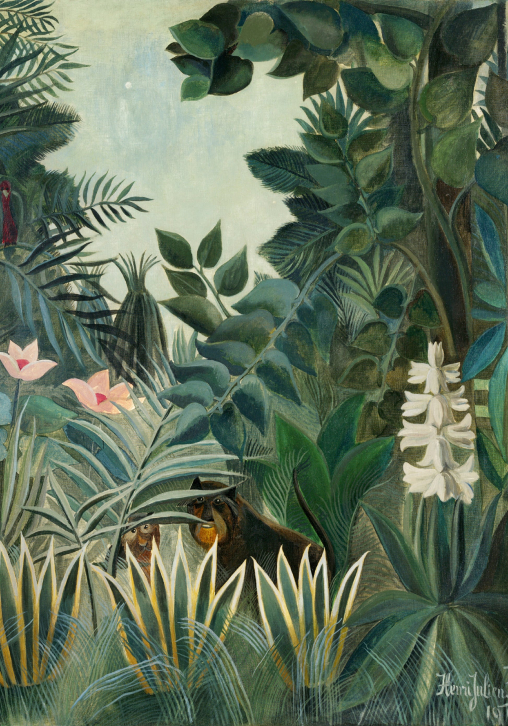 La jungle équatoriale