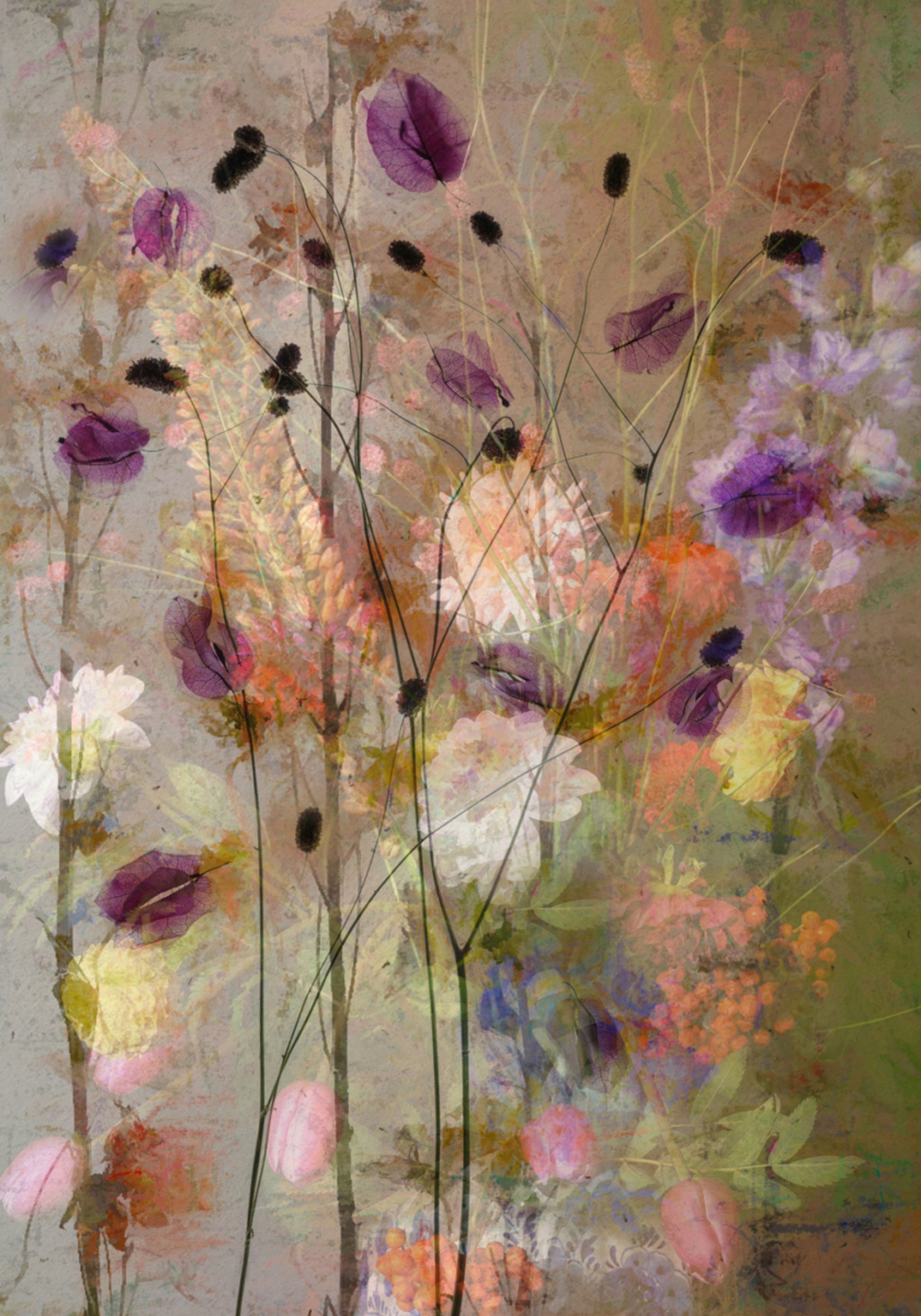 Jardin floral de rêve