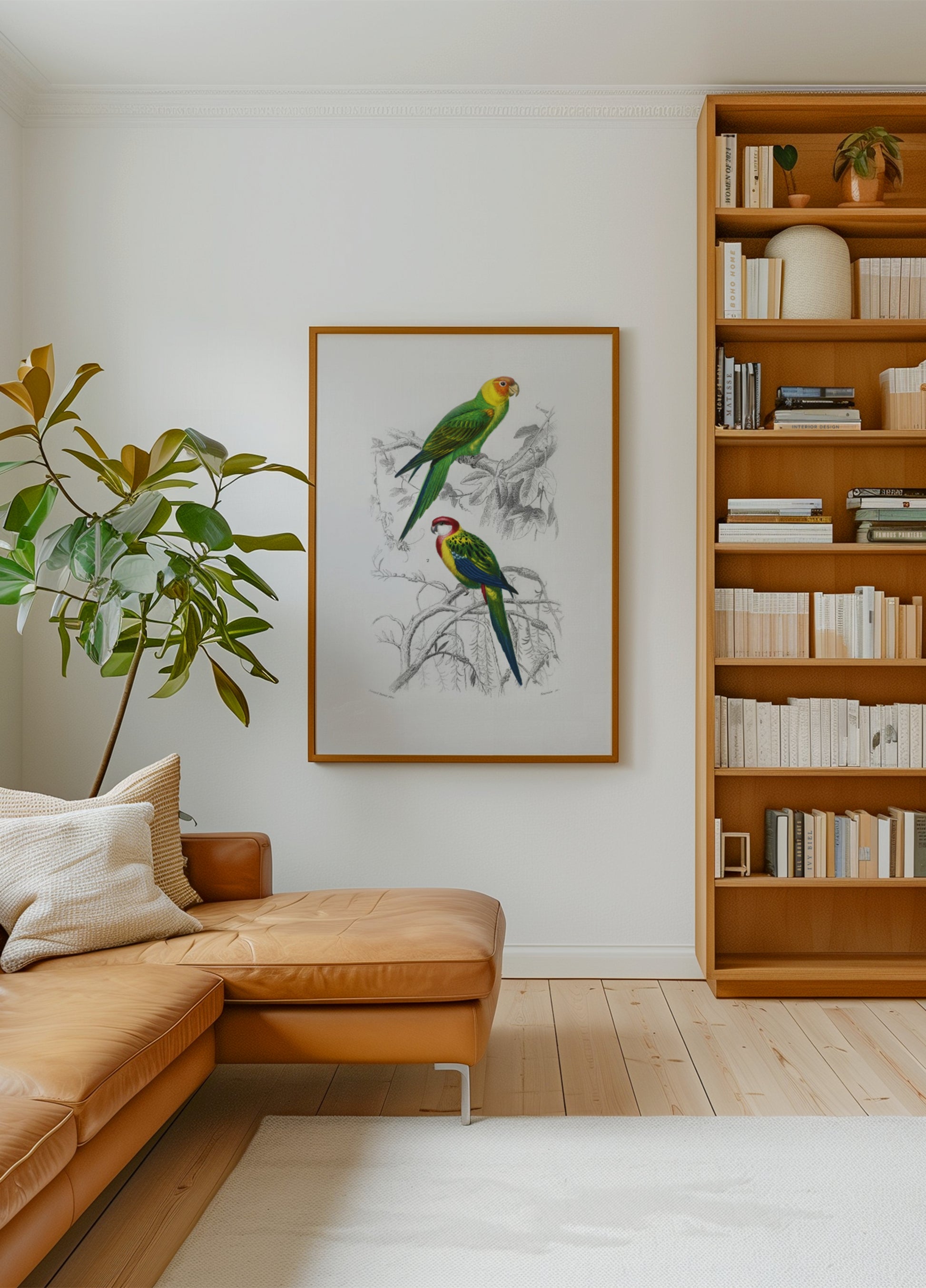 Oiseaux