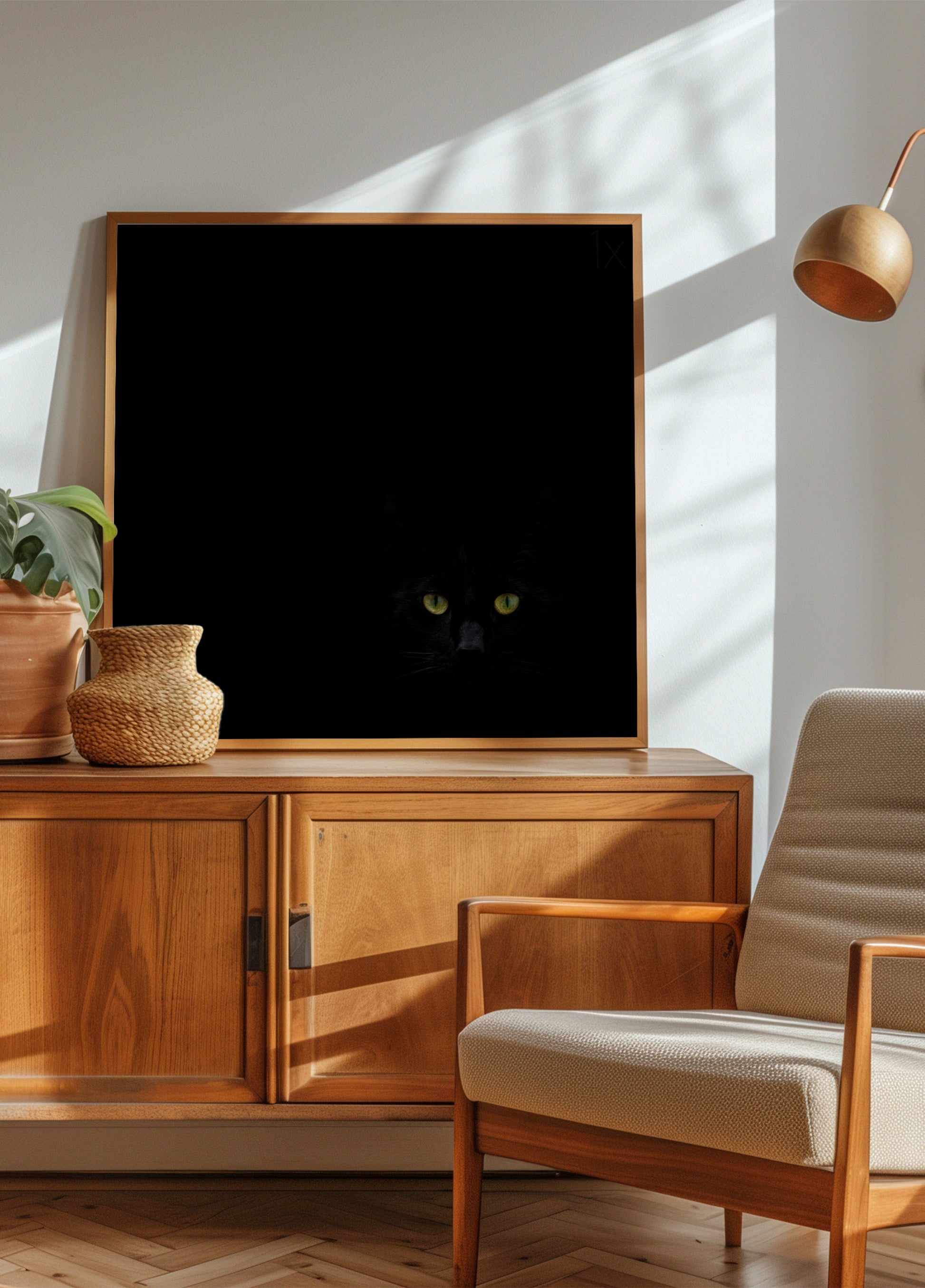 Regard du chat noir