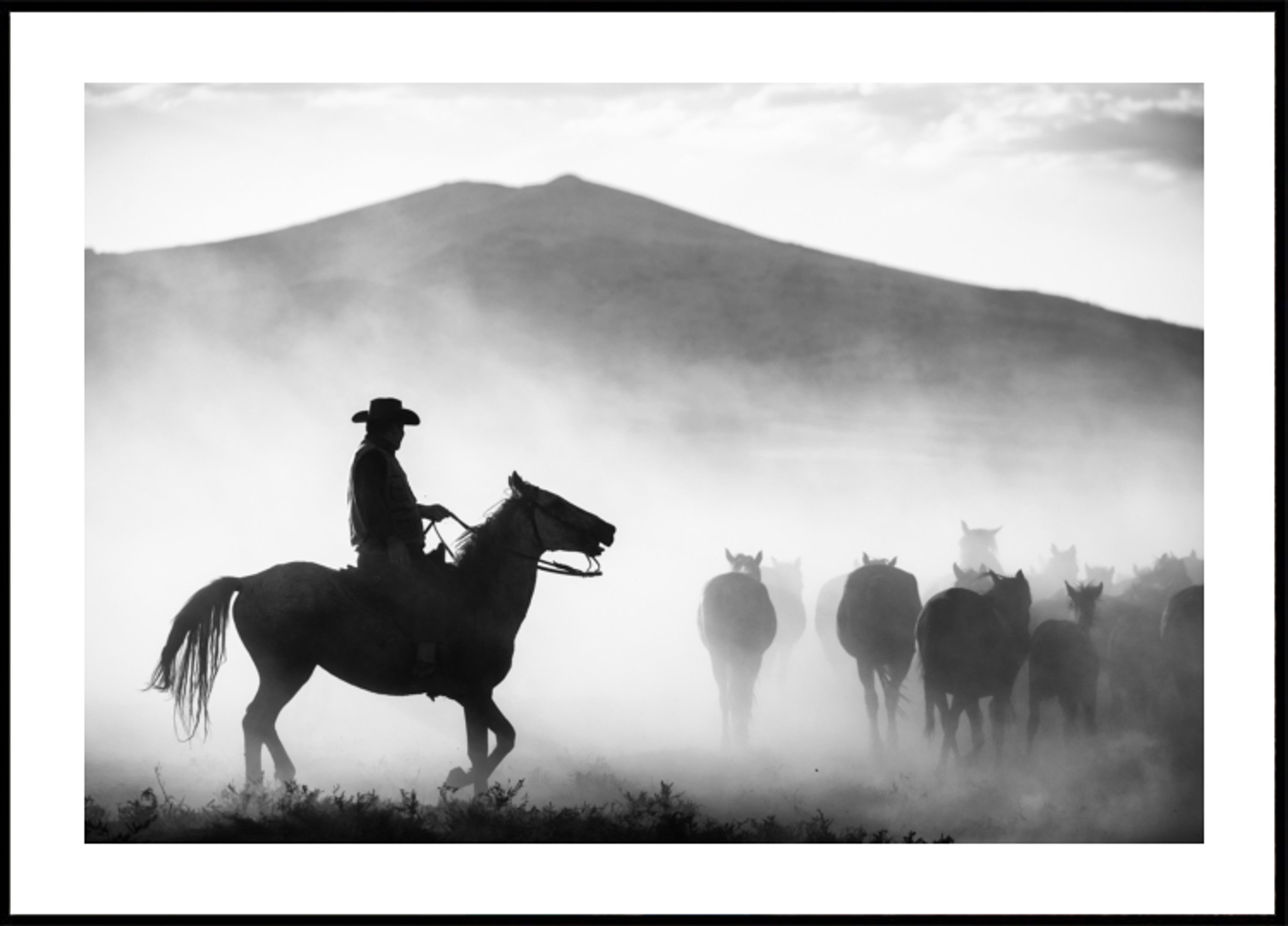Chevaux de troupeau de cowboys