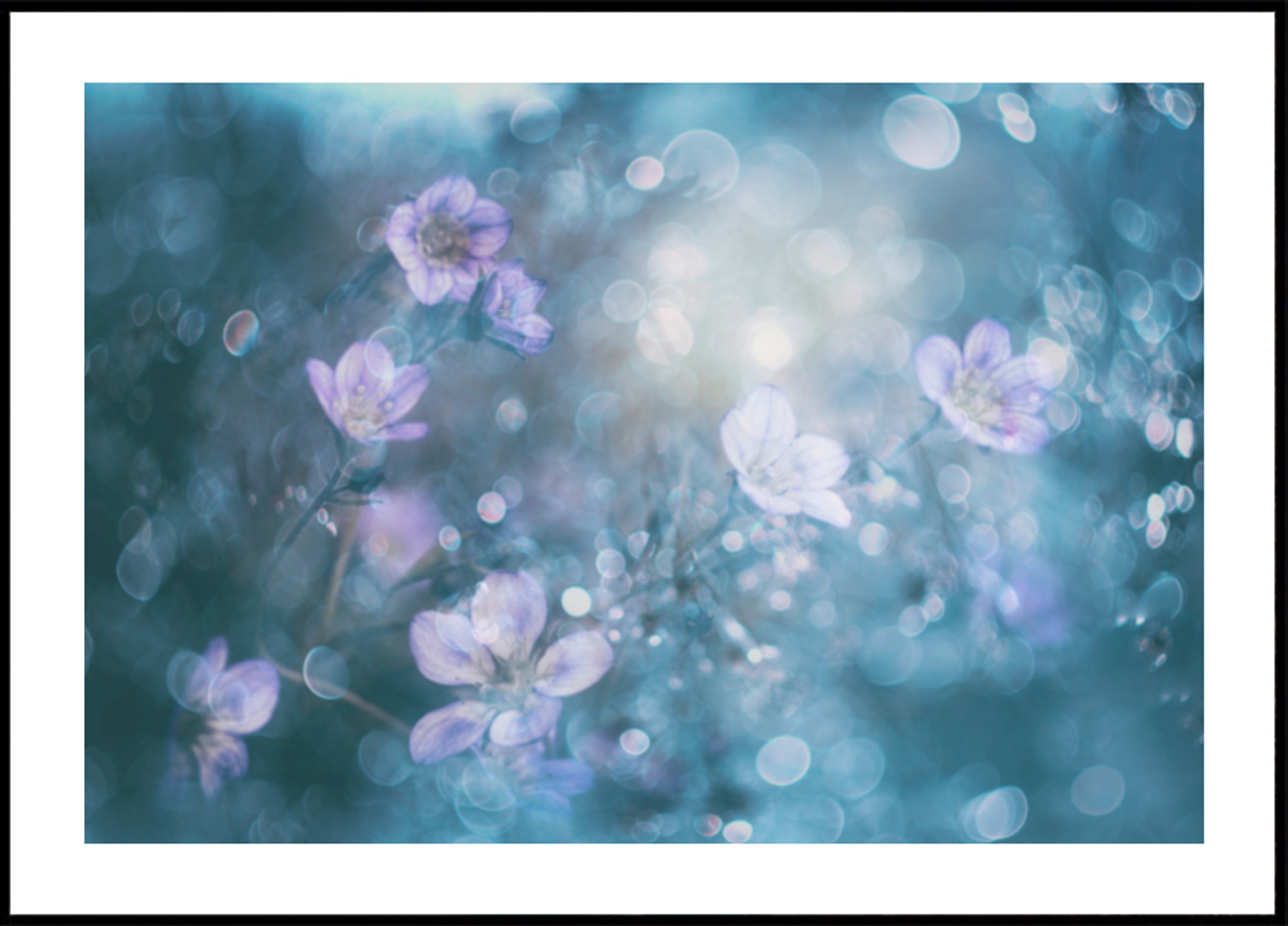 Fleurs de bokeh de rêve