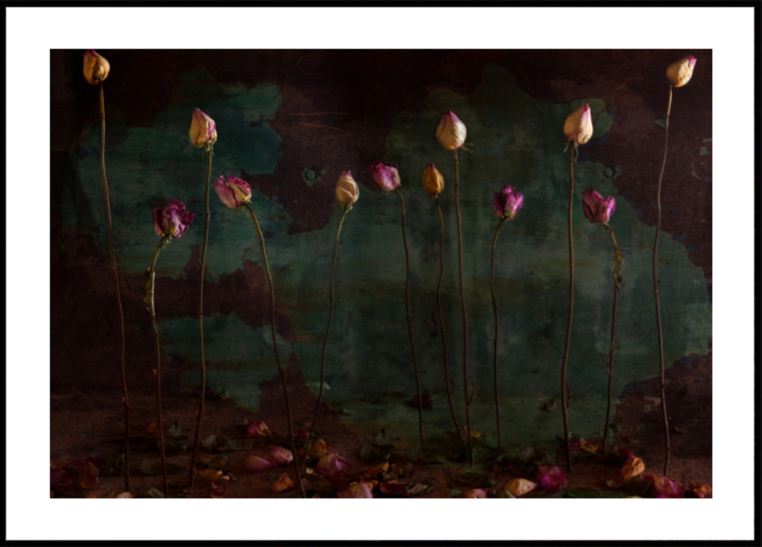 Roses séchées de mauvaise humeur