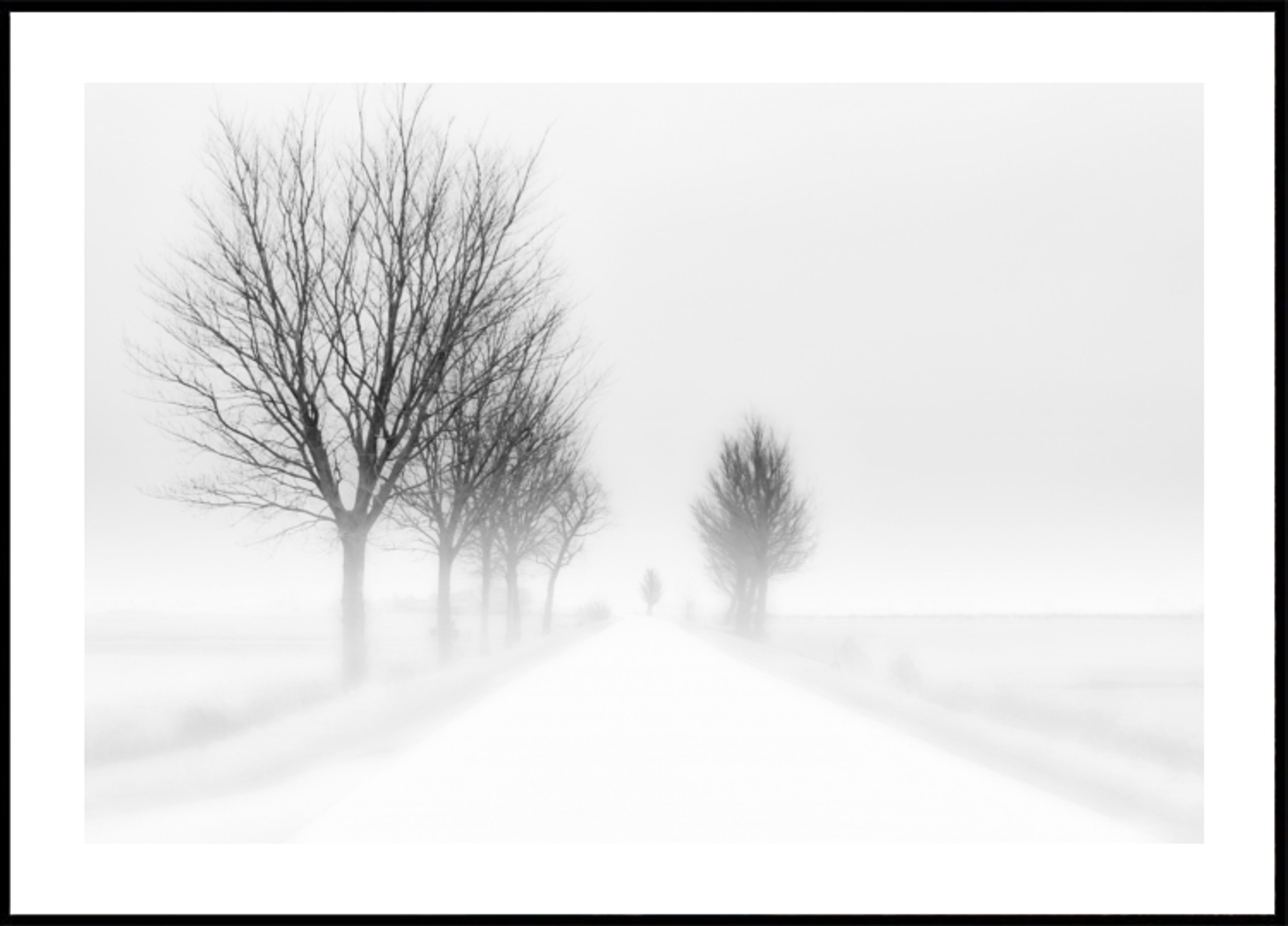 Route d'hiver brumeuse