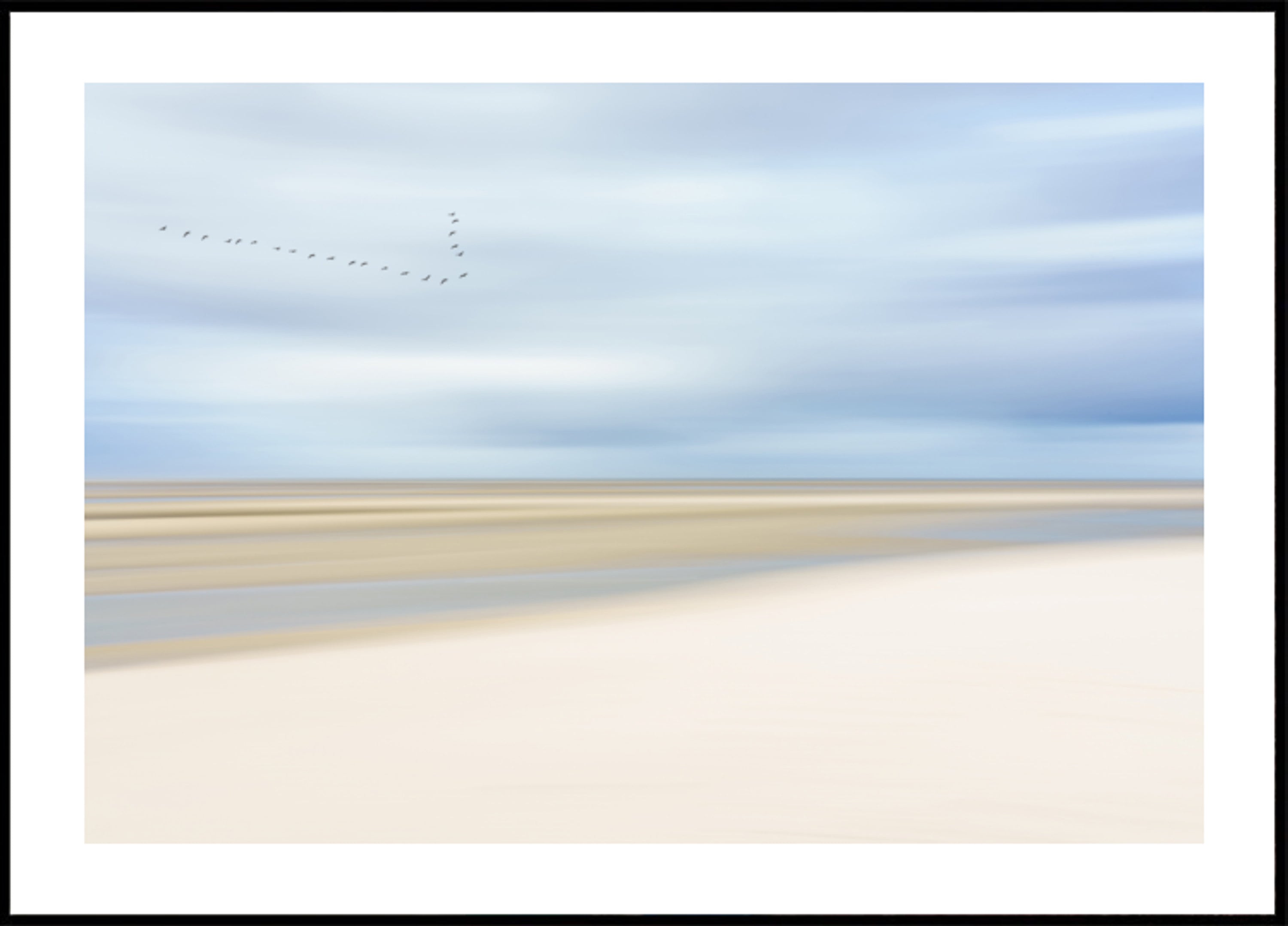 Oiseaux sur un rivage serein