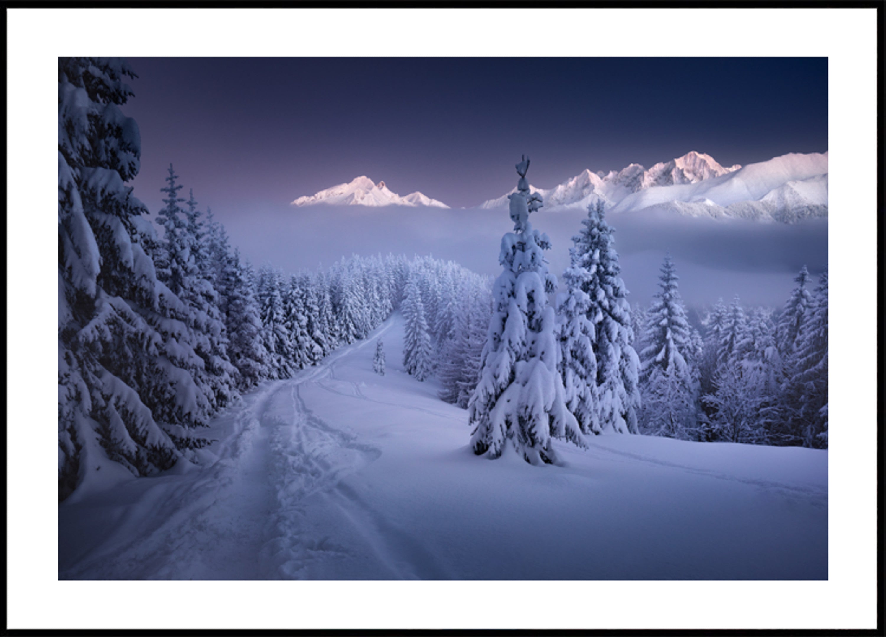 Sentier de montagne de la forêt d'hiver