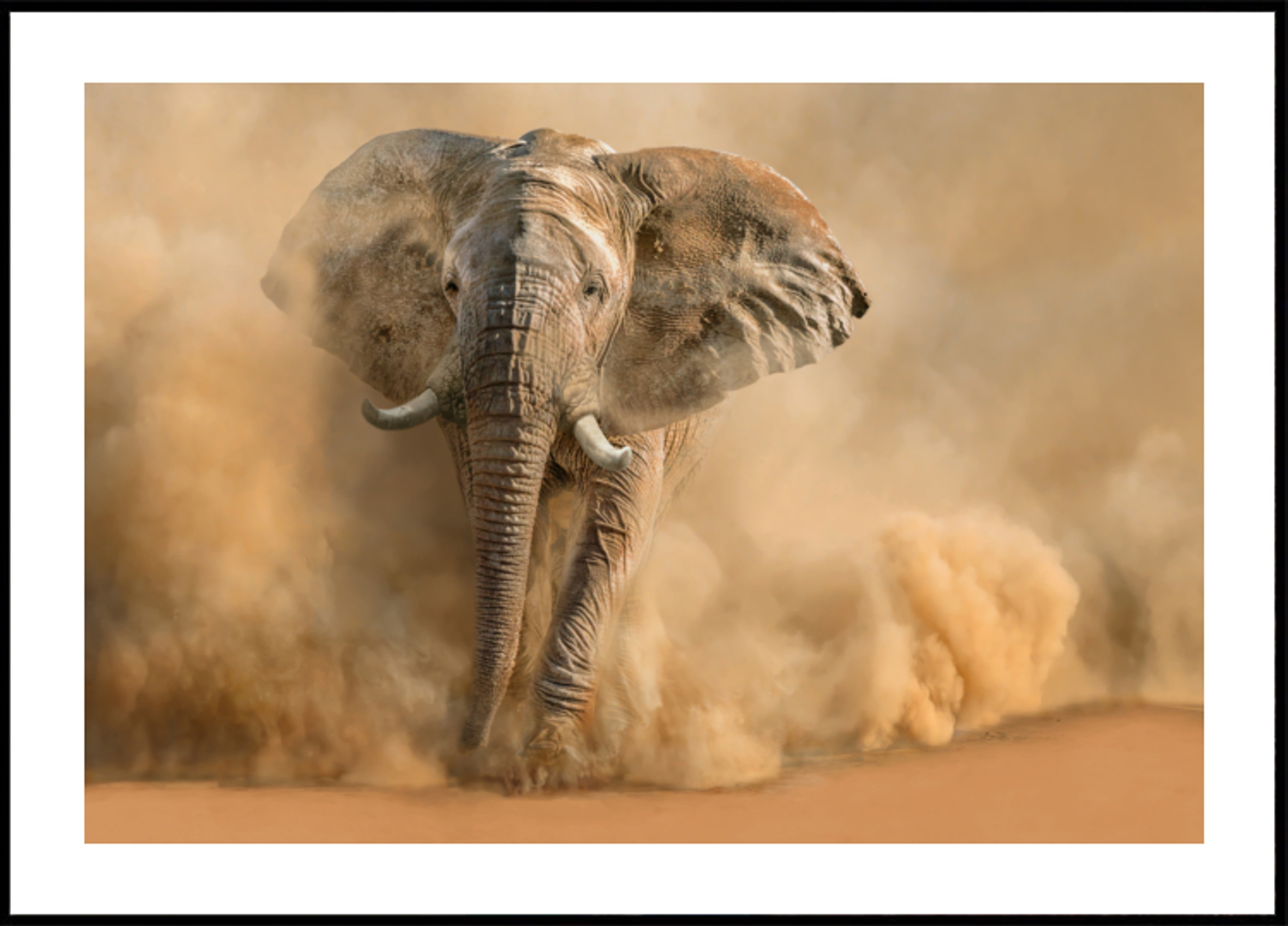 Nuage de poussière d'éléphant majestueux