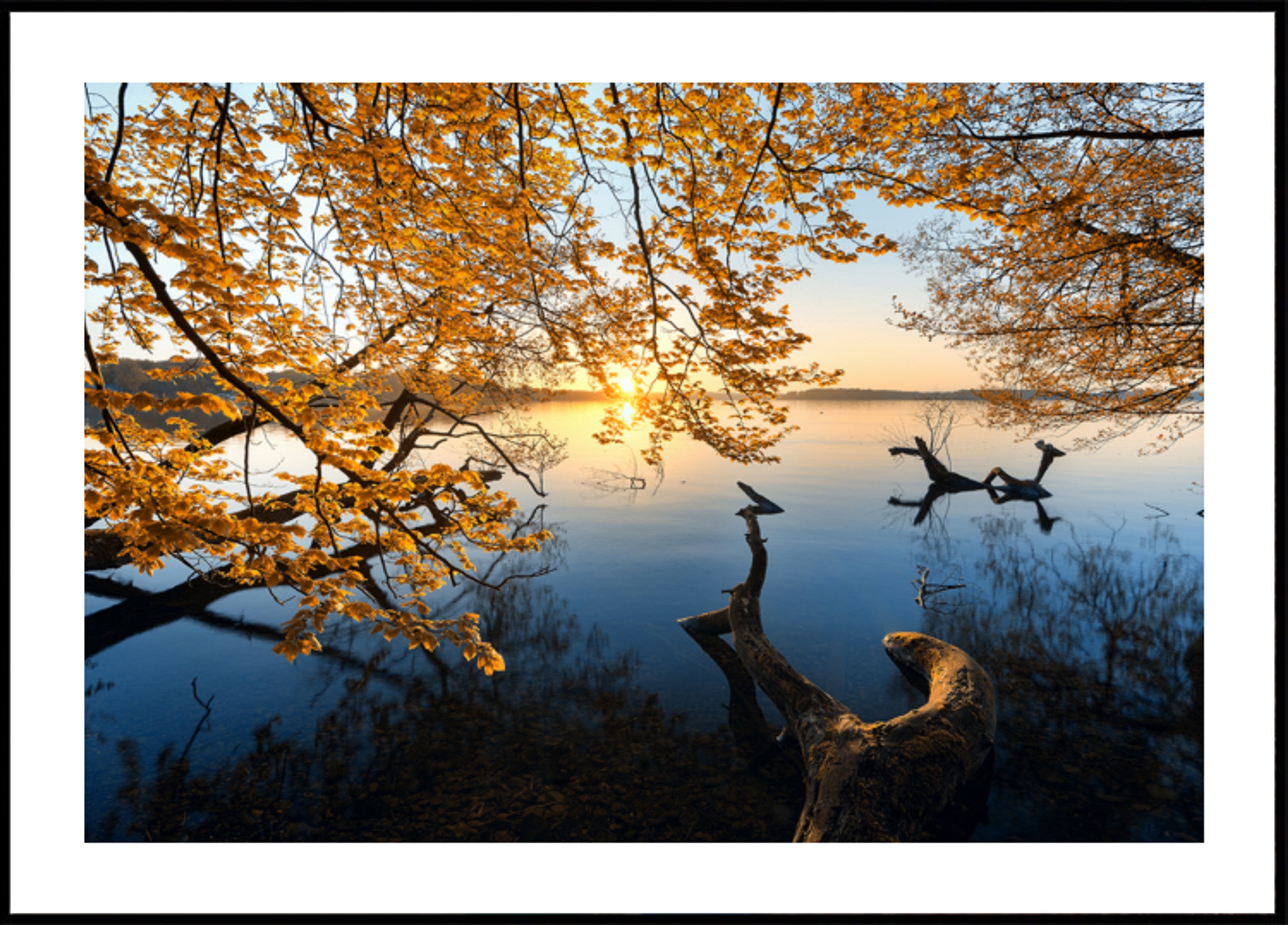 Lever du soleil sur le lac d'automne doré
