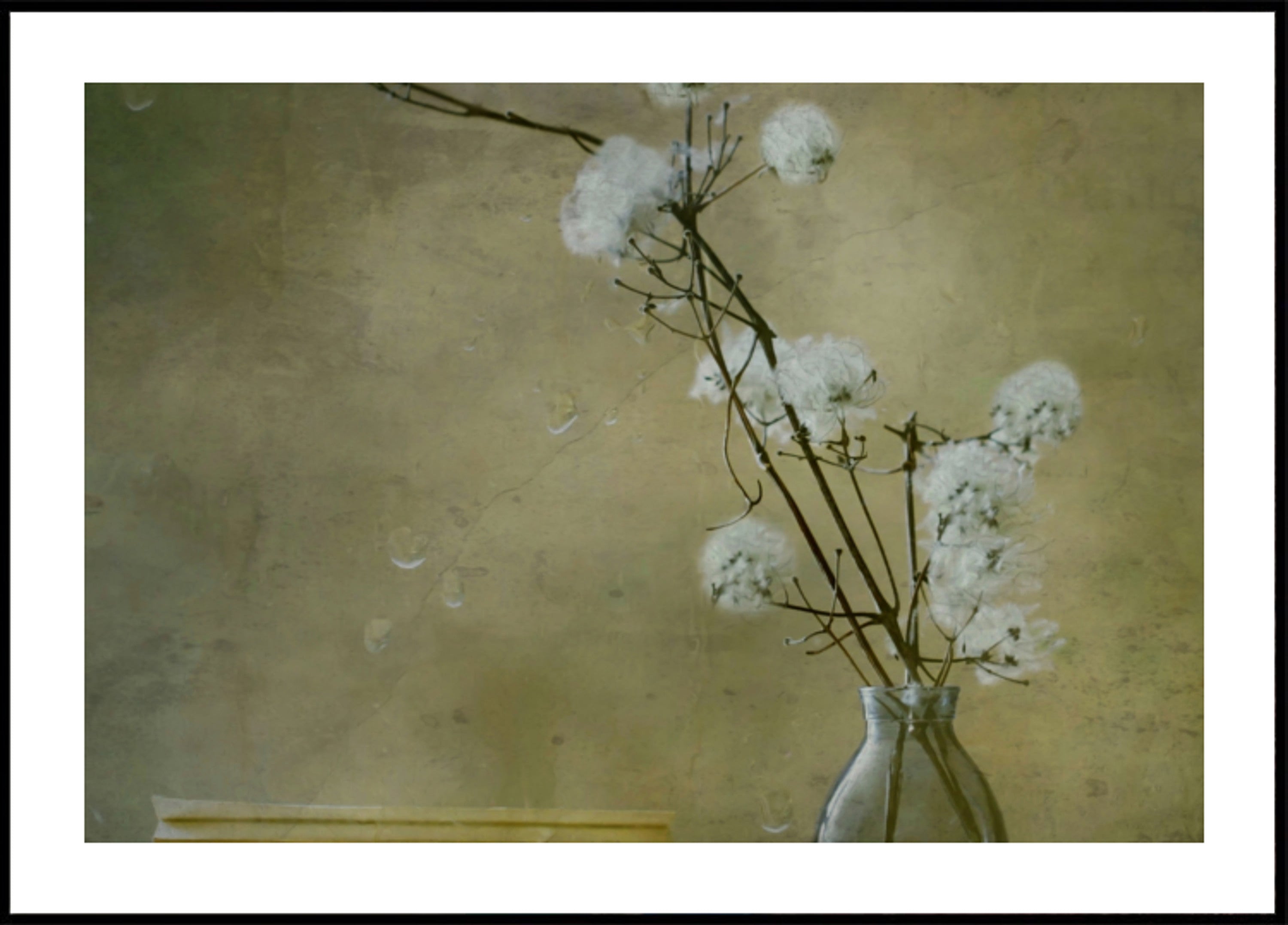 Fleurs moelleuses sereines