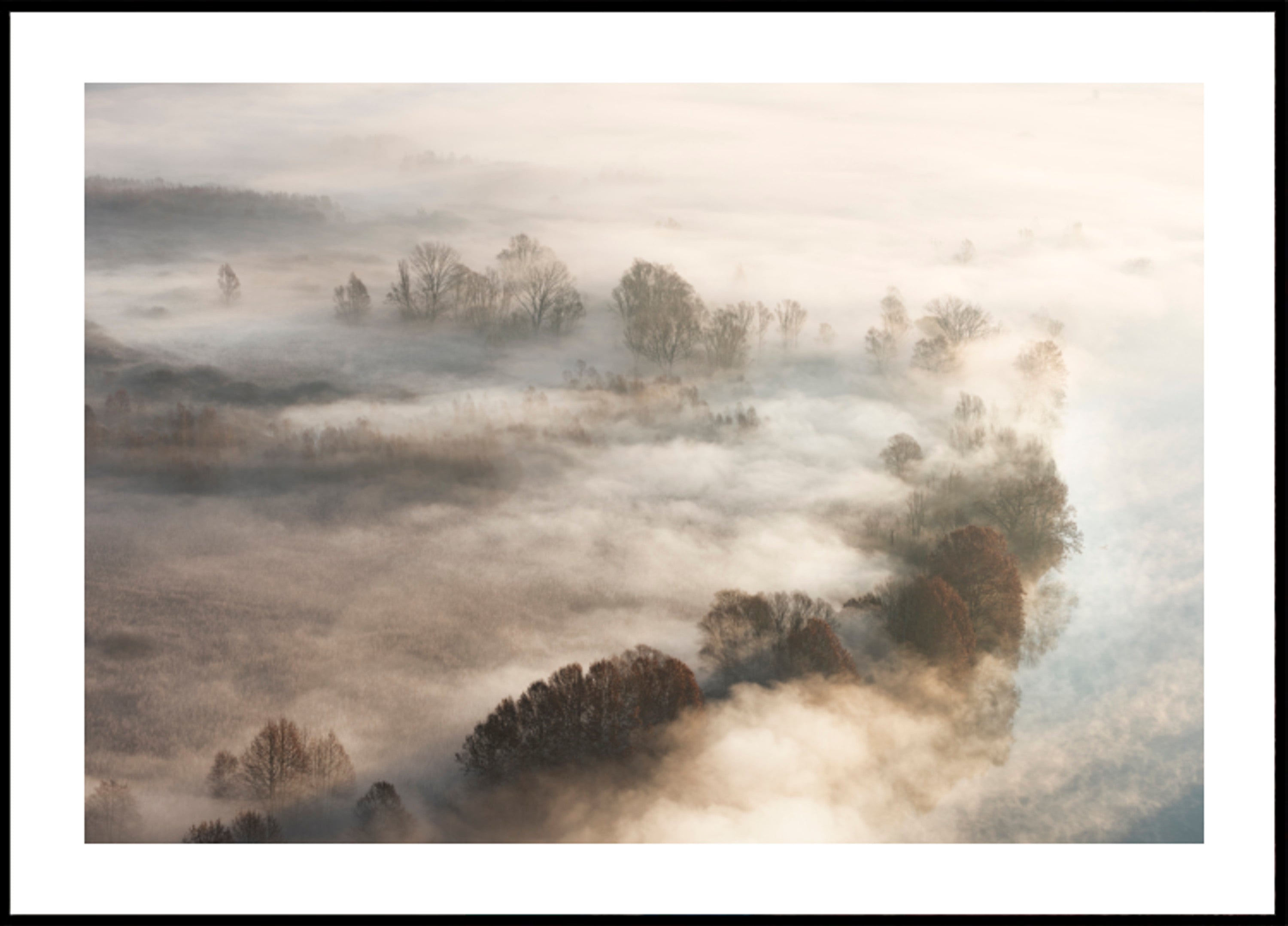 Arbres brumeux dorés