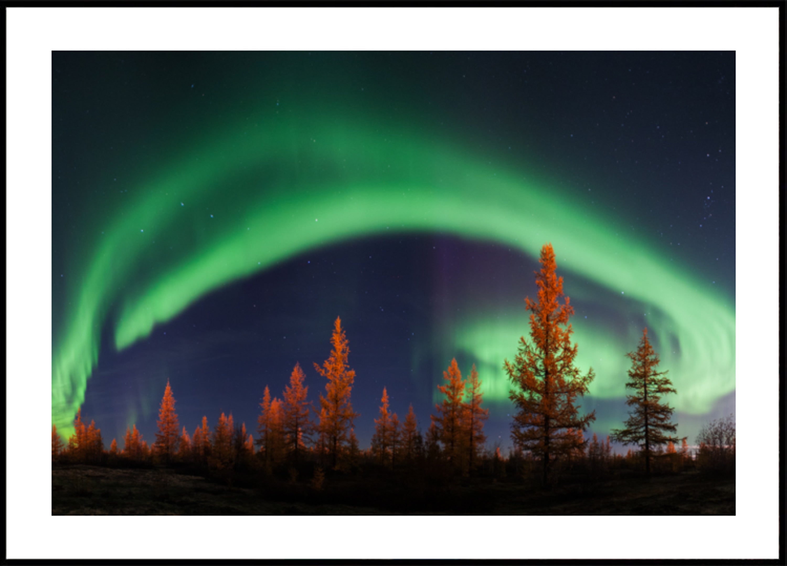 Ciel nocturne aurore vibrante