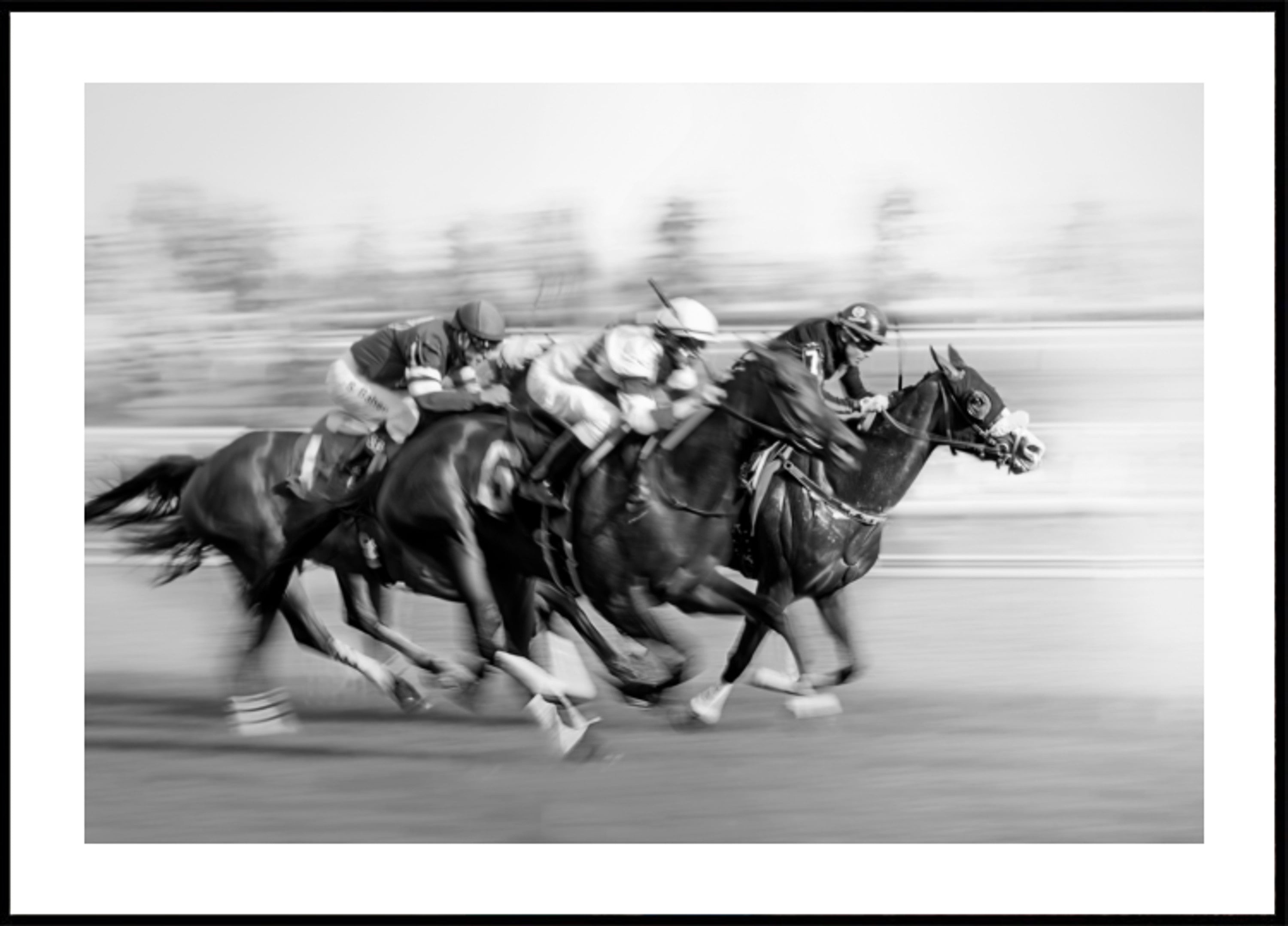 Chevaux de course au galop