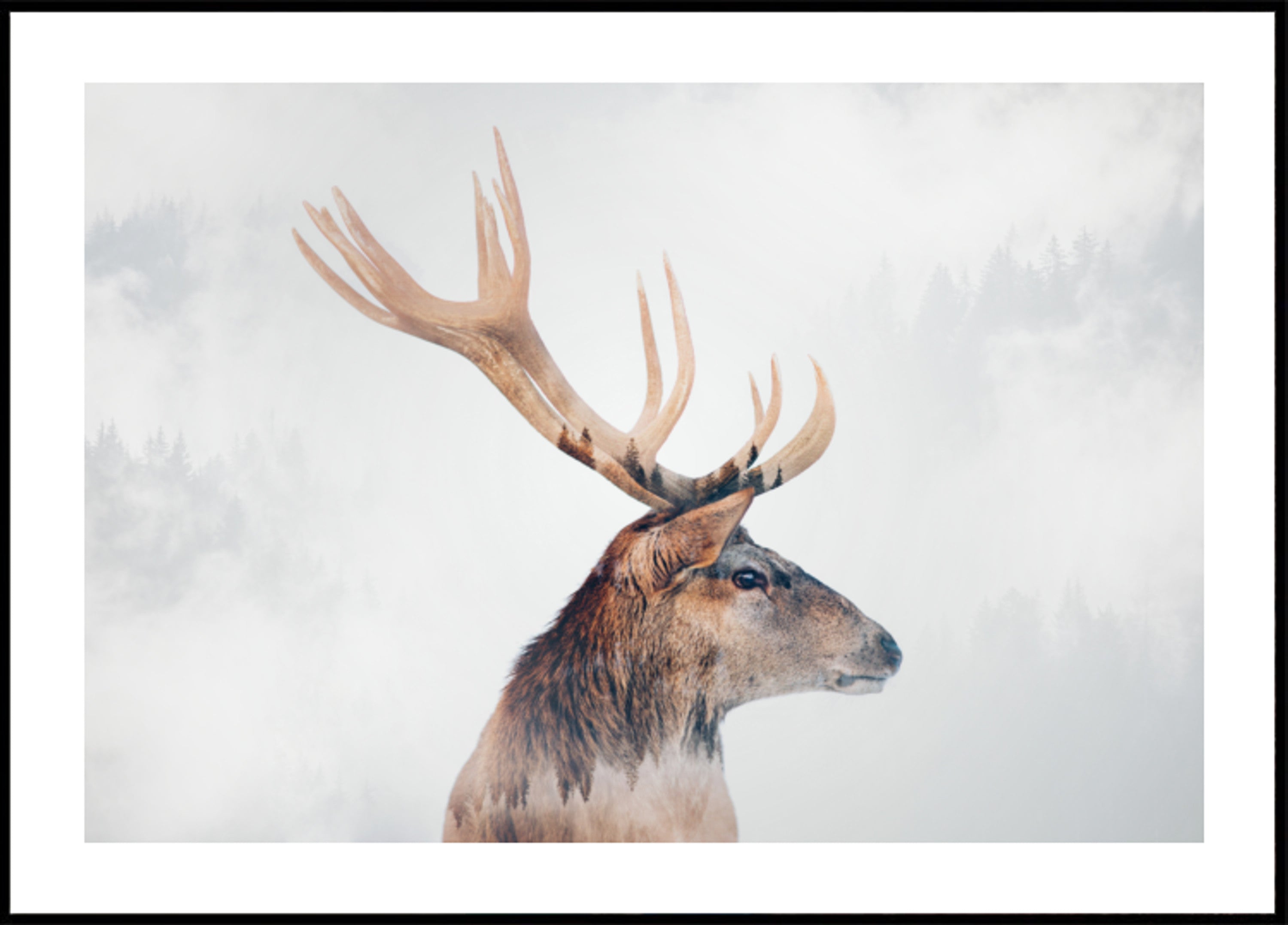 Cerf de la forêt brumeuse