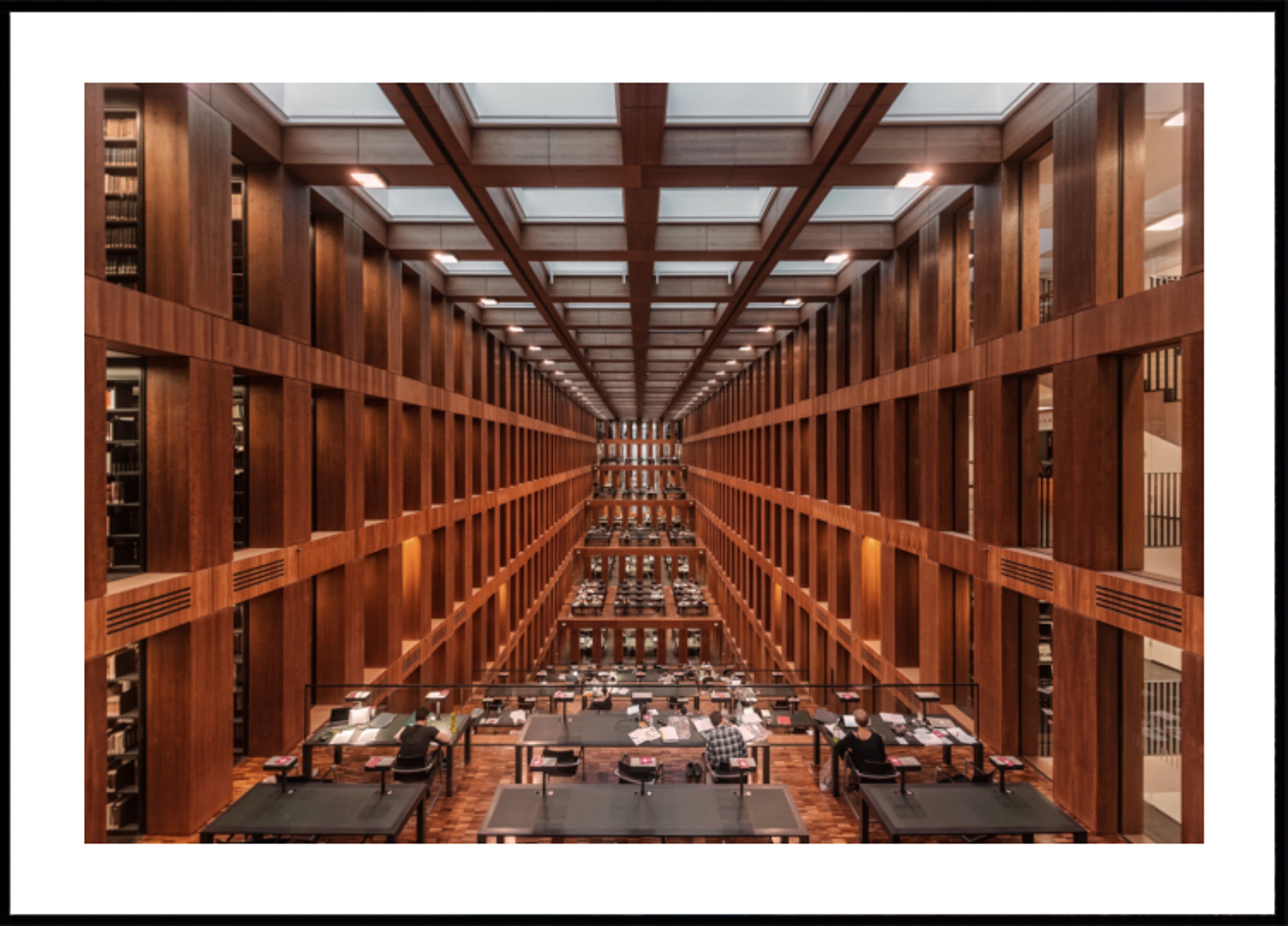 Grande bibliothèque moderne