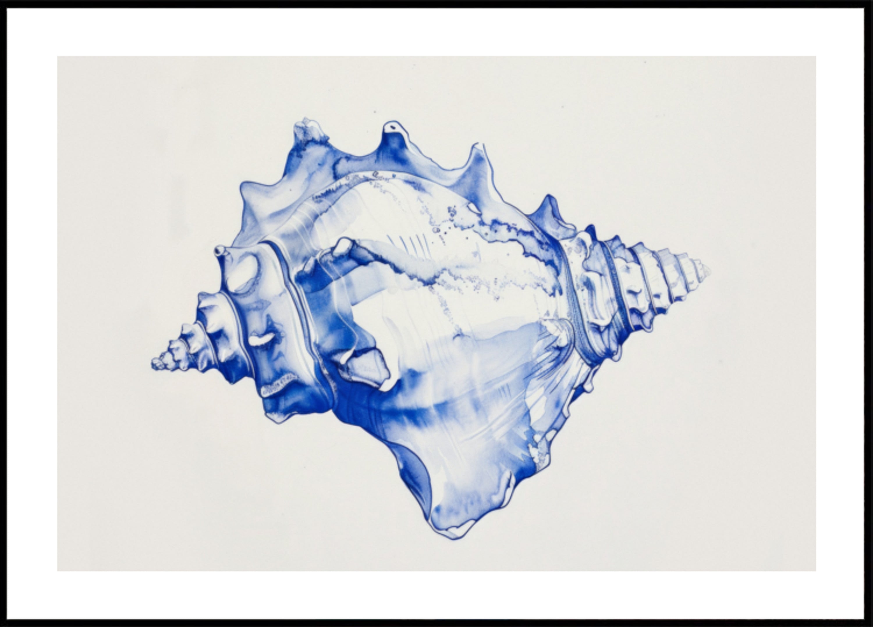 Harmonie de conque bleue